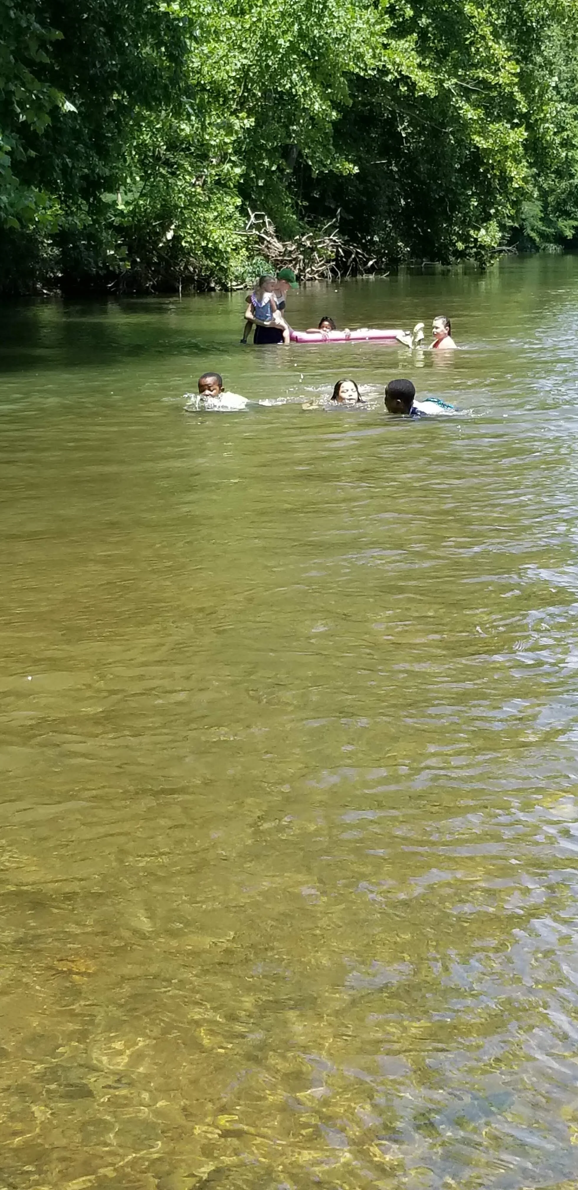 People swimming and playing in a shallow river surrounded by lush greenery.