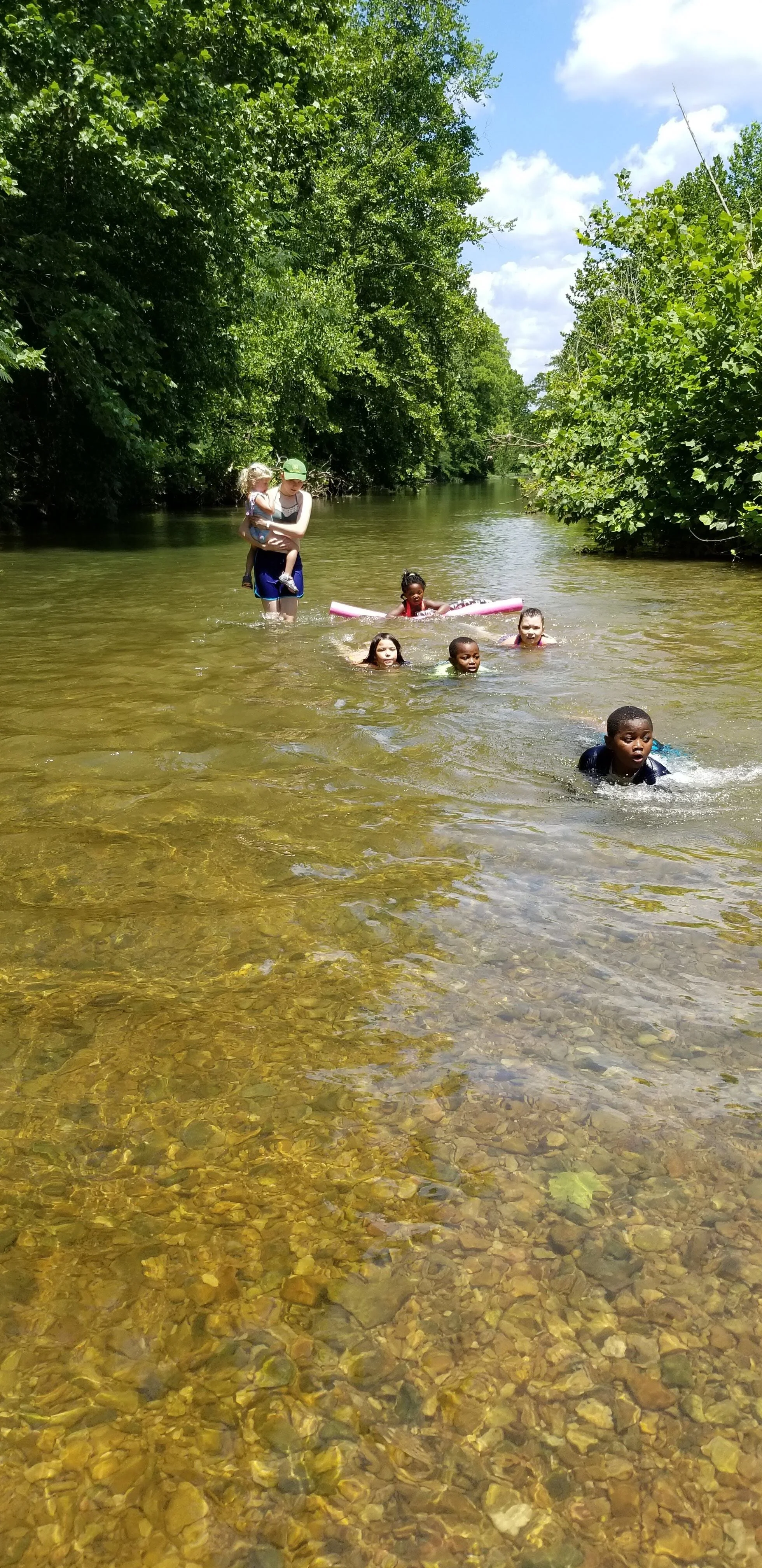 Children swimming in a shallow, tree-lined creek on a sunny day.