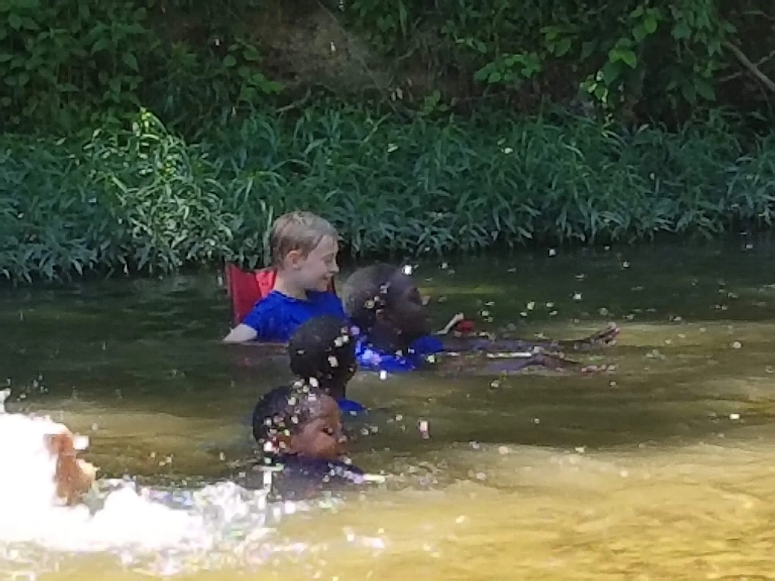 Children and a dog swimming in a shallow outdoor body of water with greenery in the background.