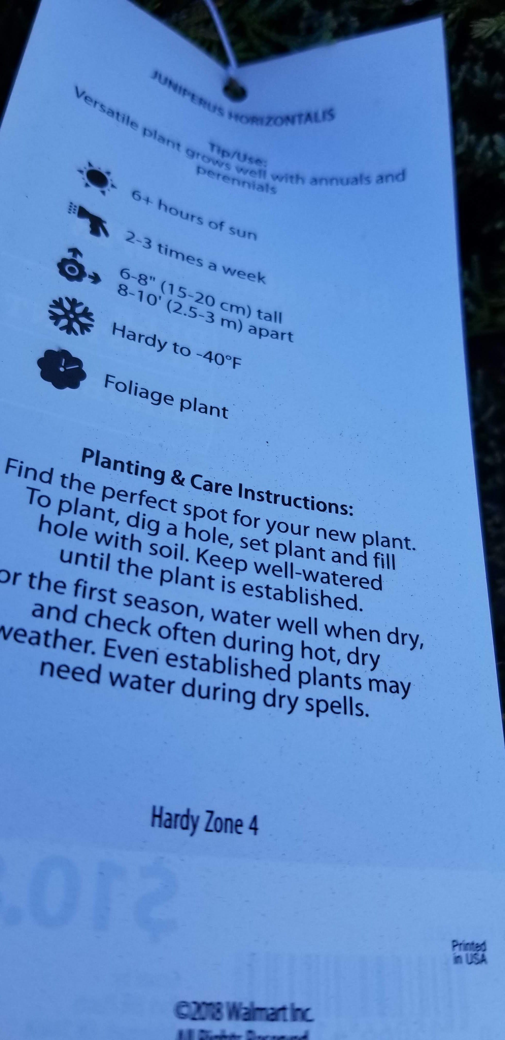 Plant care tag for Juniperus horizontalis.