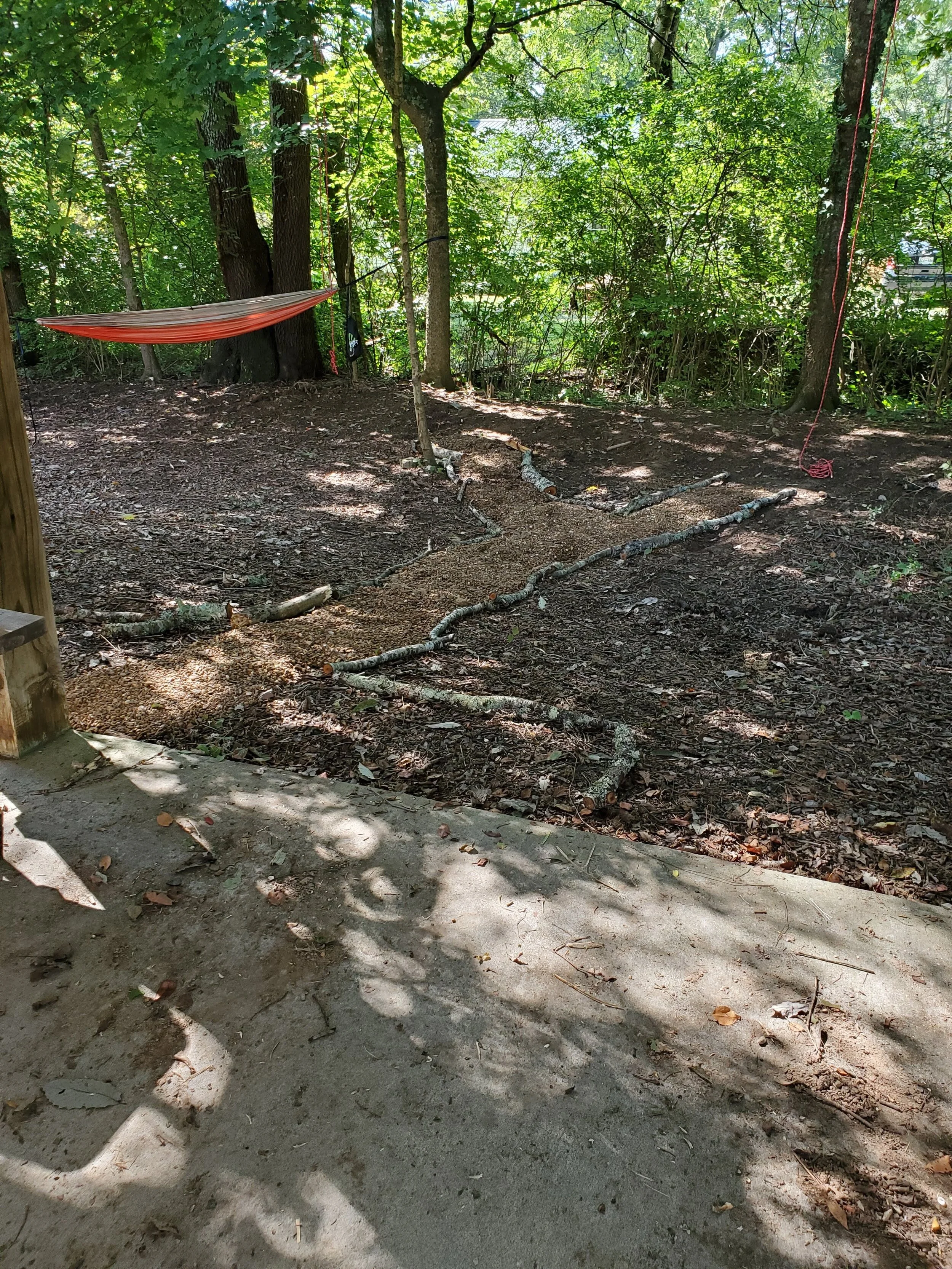 Outdoor scene with a hammock hanging between trees, surrounded by a wooded area with a dirt and leaf-covered ground. A few tree branches lie on the ground along a cleared path. Sunlight filters through the leaves, casting dappled shadows on a concret
