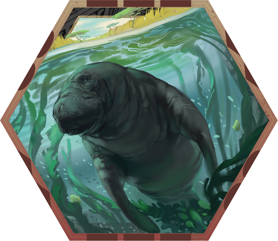 Version 1_Manatee Face.png