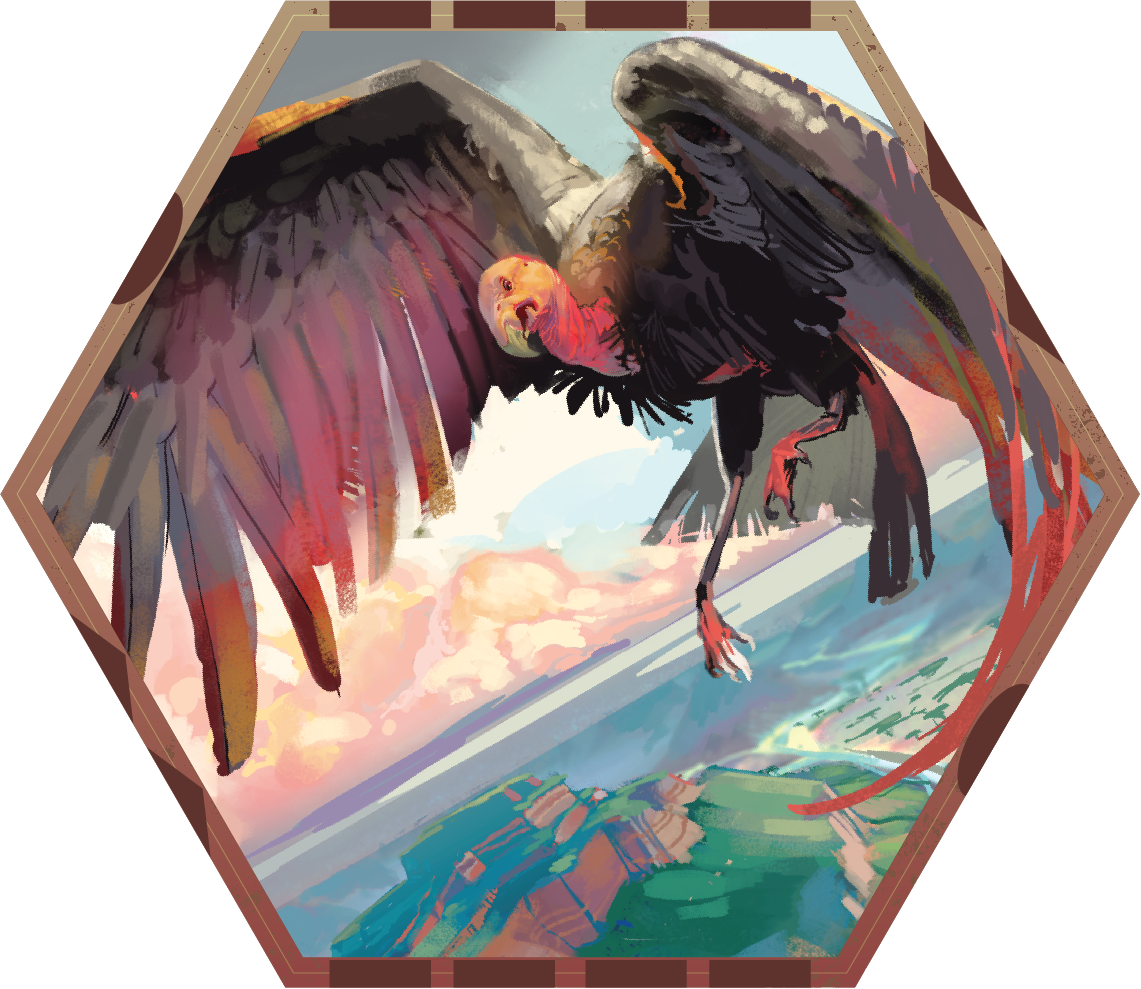 Version 1_Condor Face.png