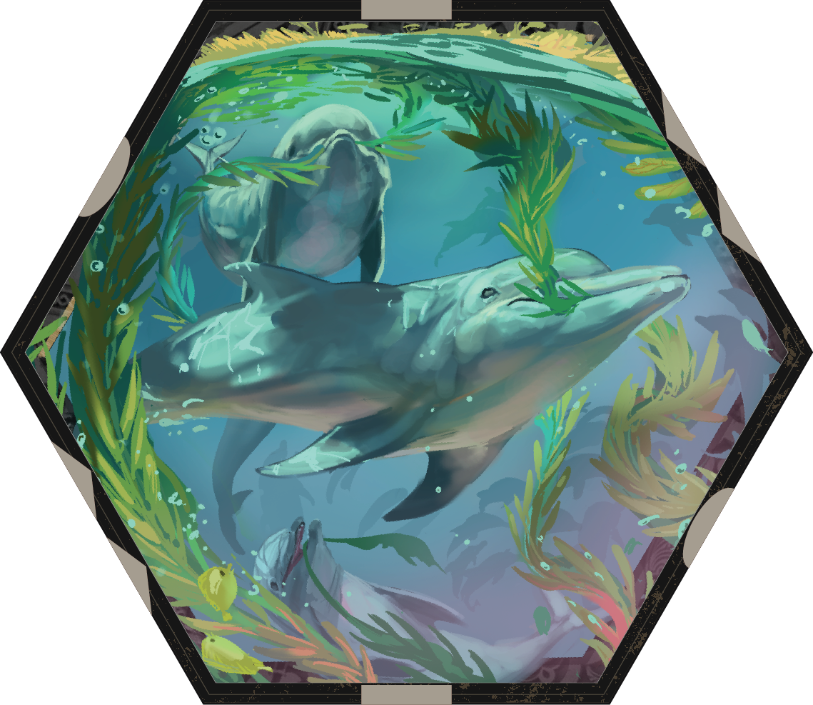 Version 1_Dolphin Face.png
