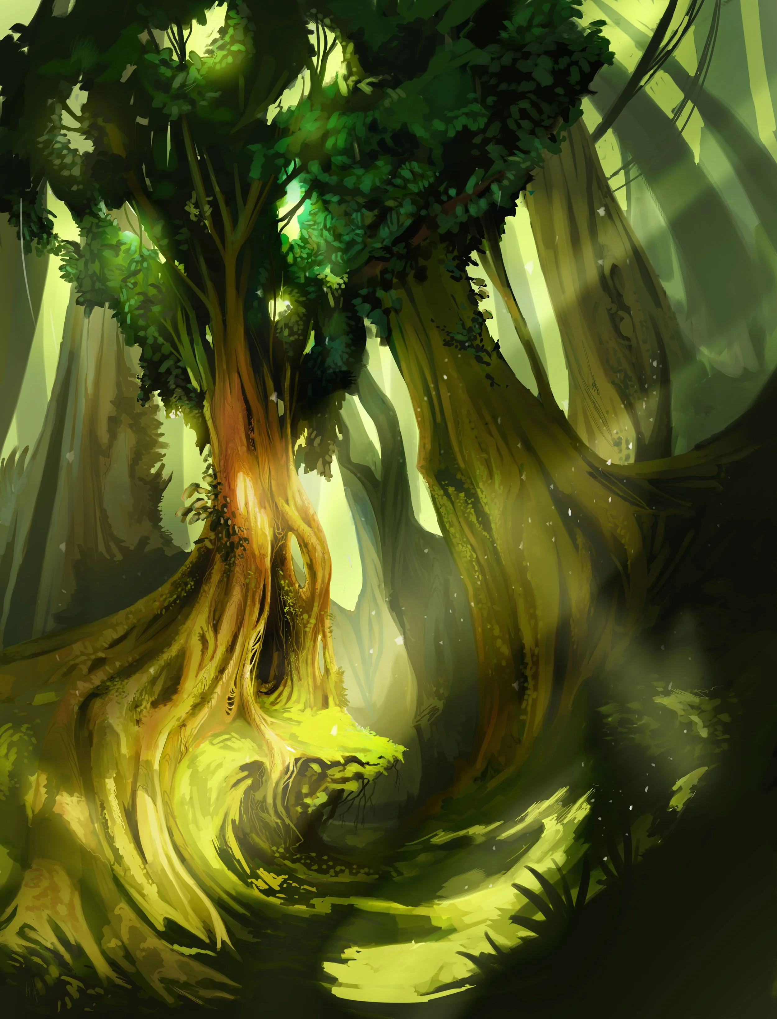 tree_estab3.JPG.jpg