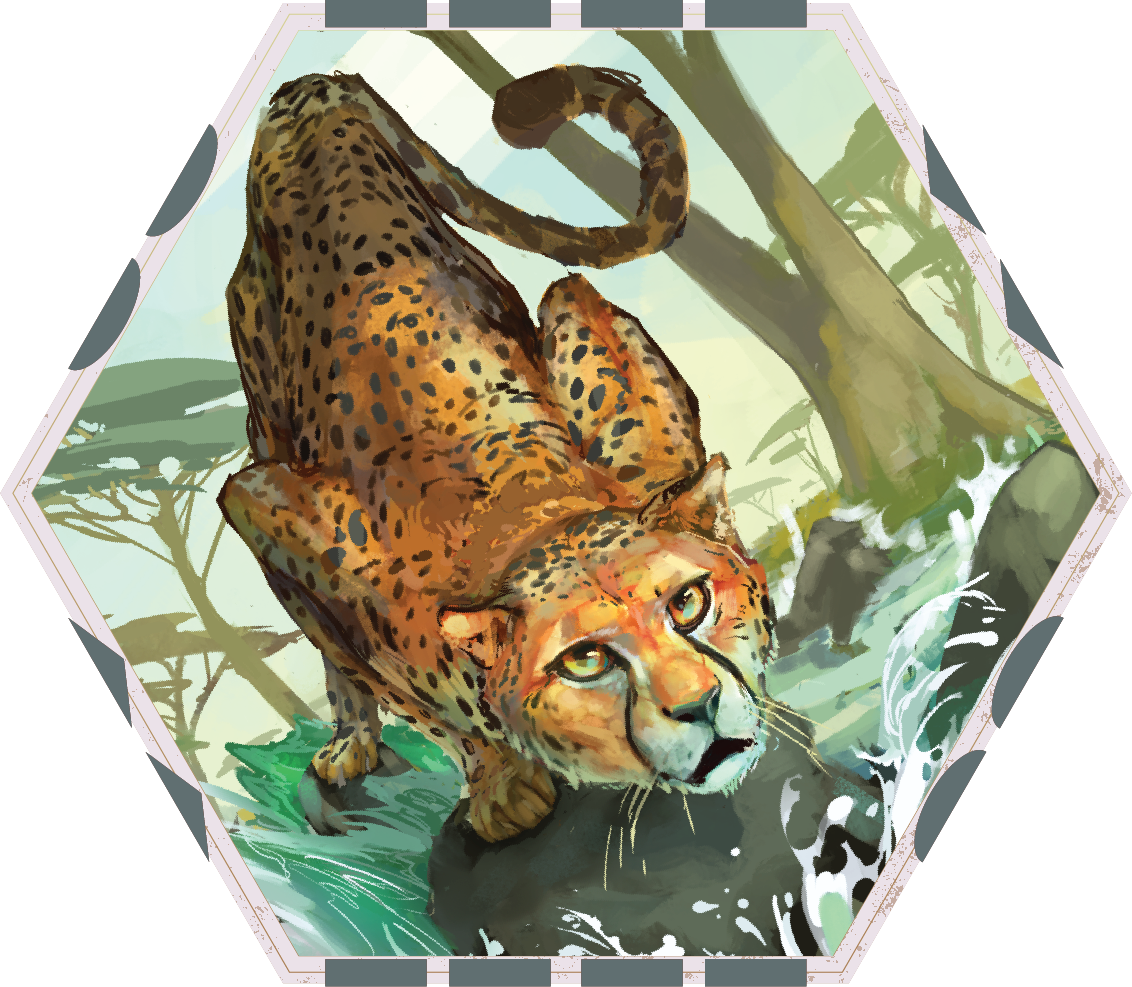 Version 1_Cheetah Face.png