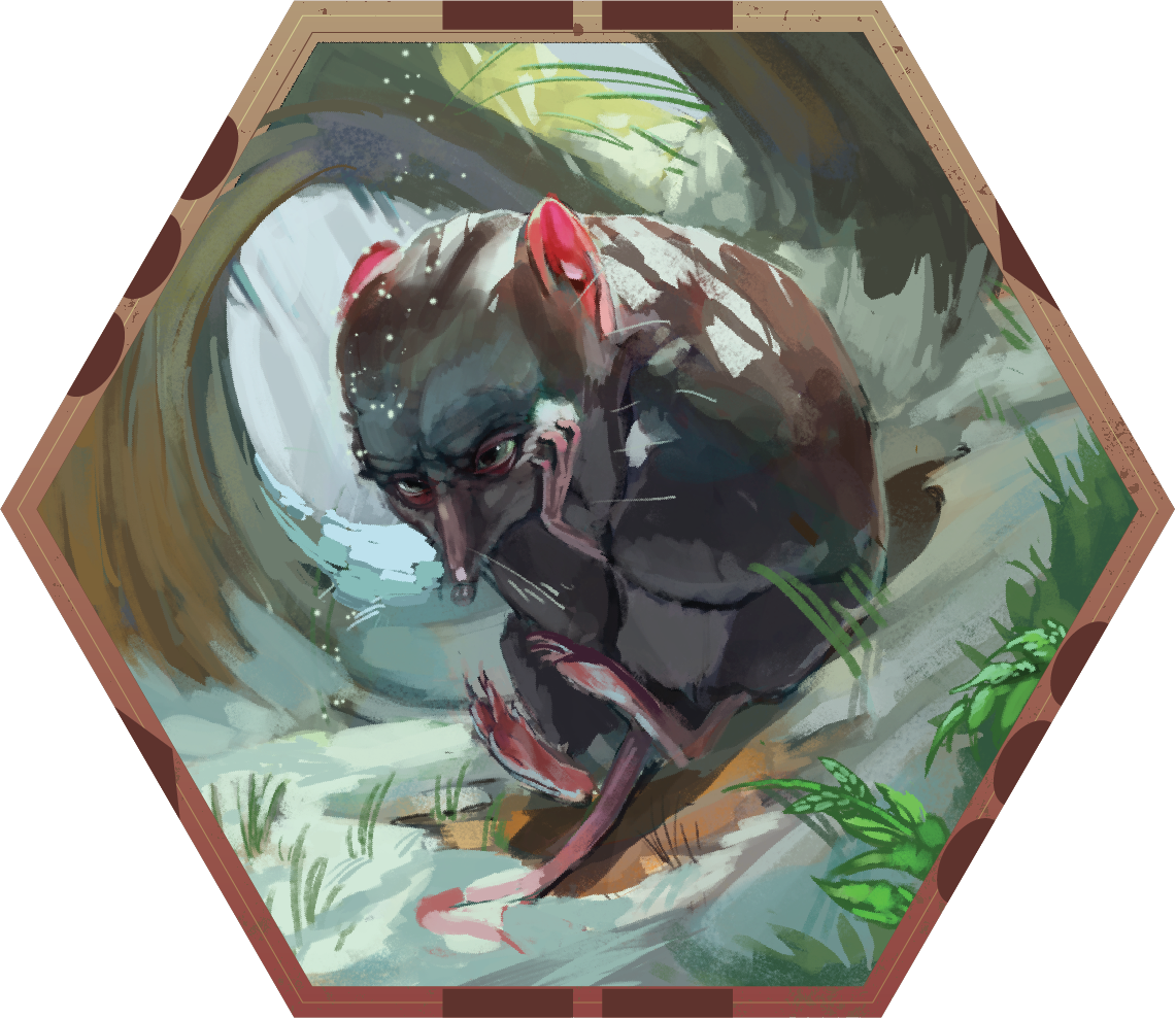 Version 1_Shrew Face.png