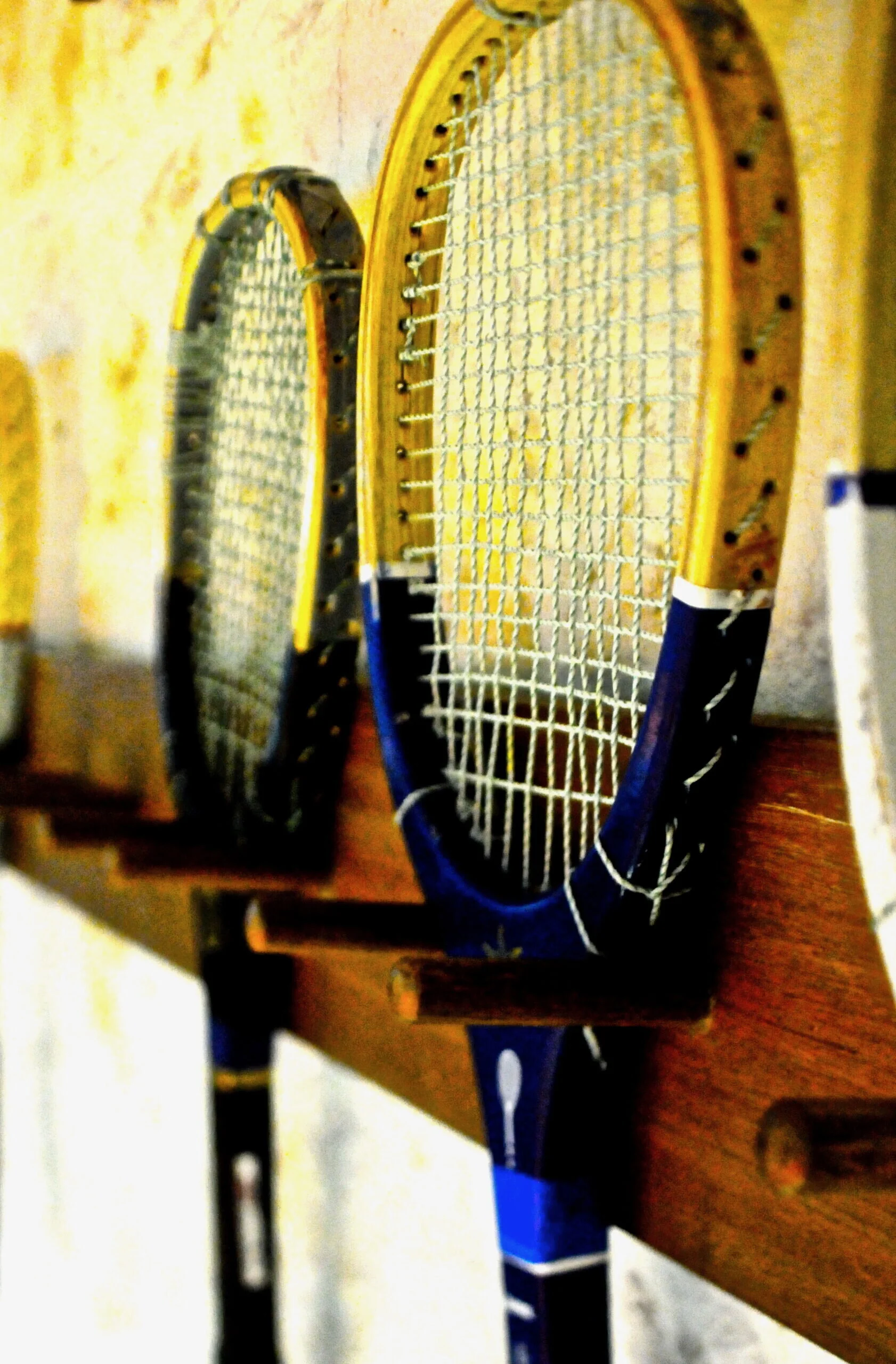 How you can help — Sydney Real Tennis