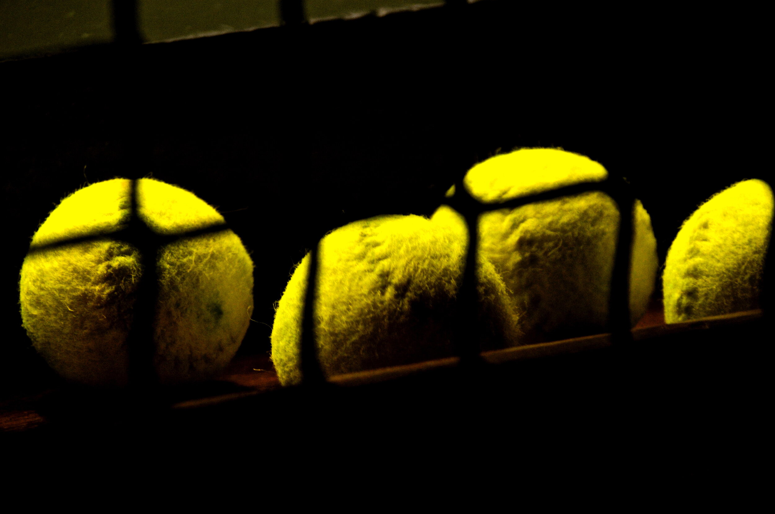 DSC_6959 2.jpeg