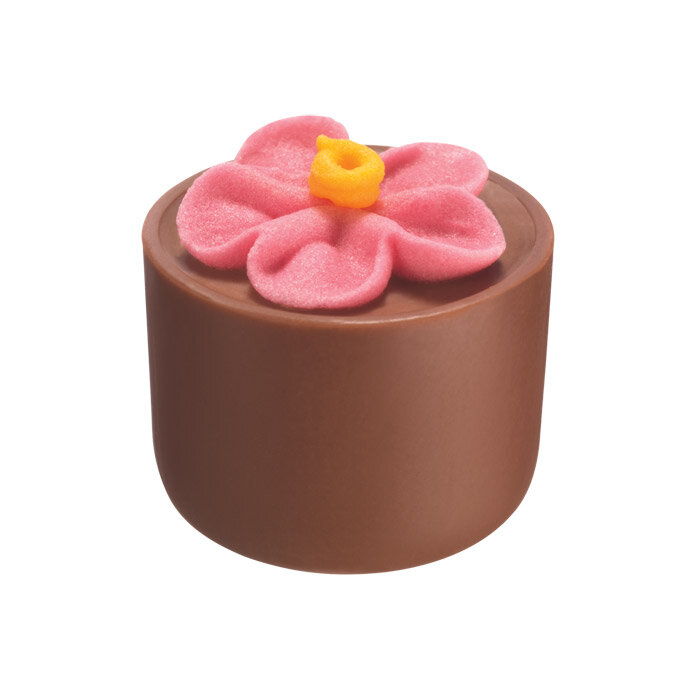 PRFL-Chocolatier-Australia-Milk-Chocolate-Praline-Flower-Pot-Pink-700.jpg