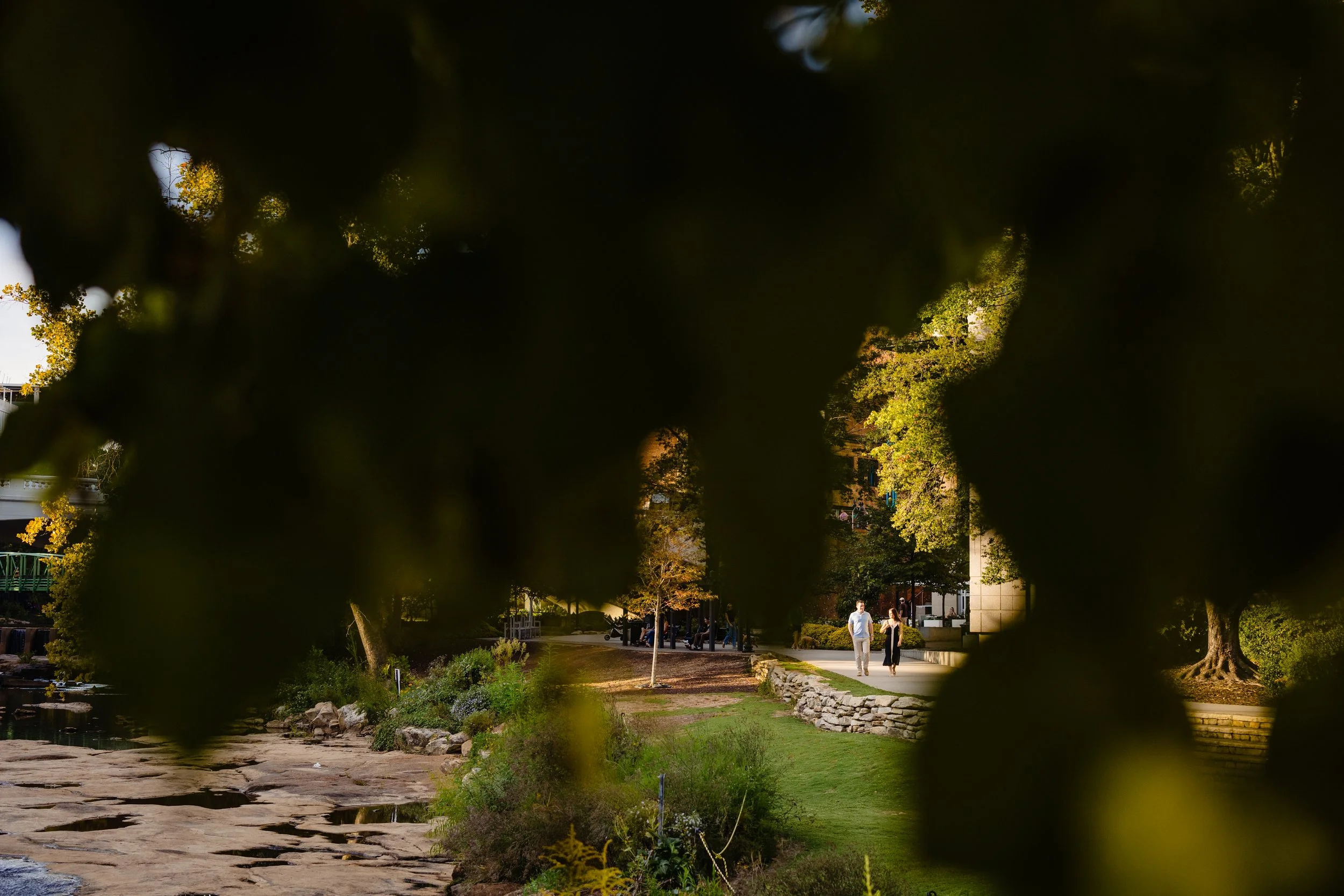 wallace-amy-falls-park-proposal-greenville-sc.jpg