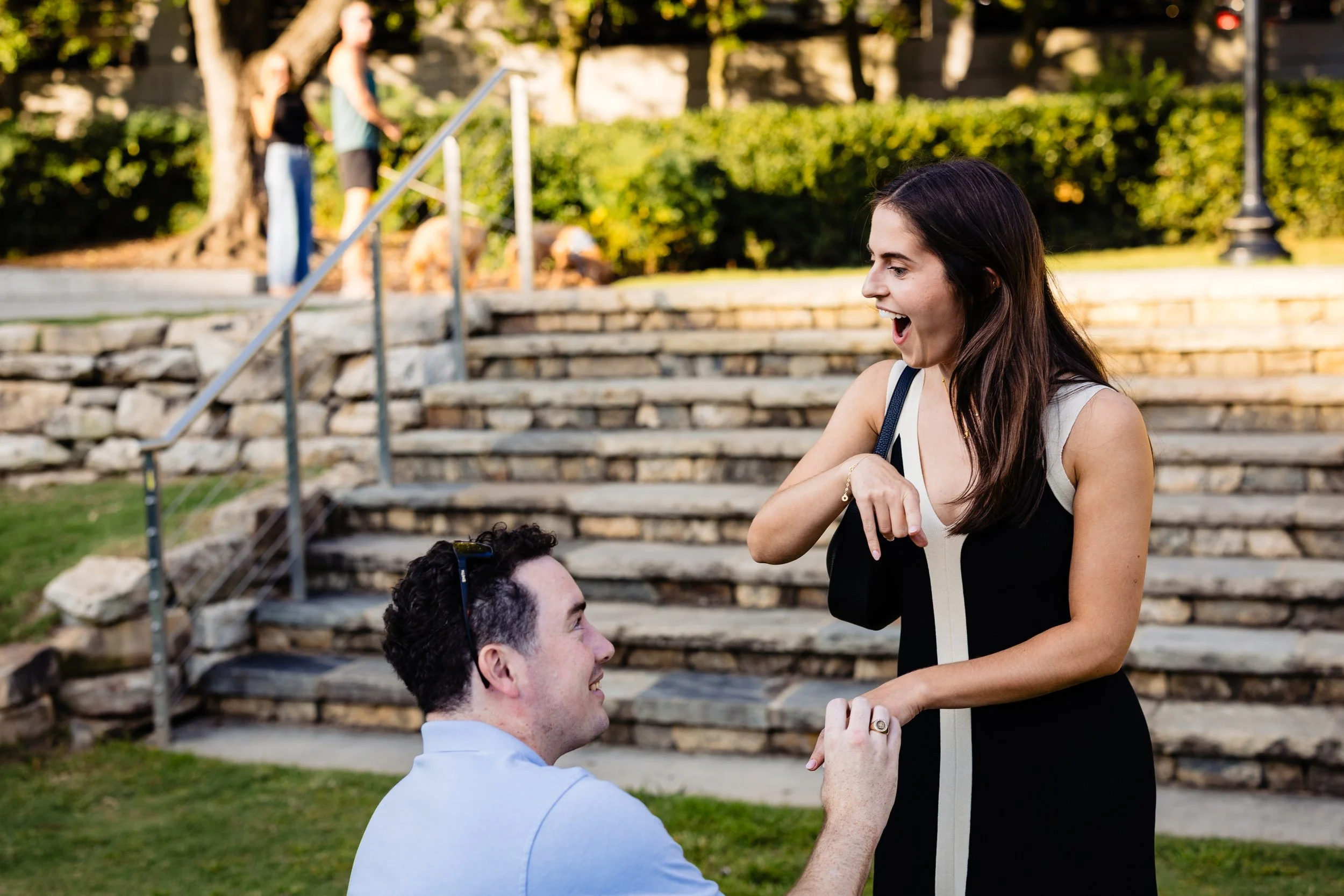 wallace-amy-falls-park-proposal-greenville-sc.jpg