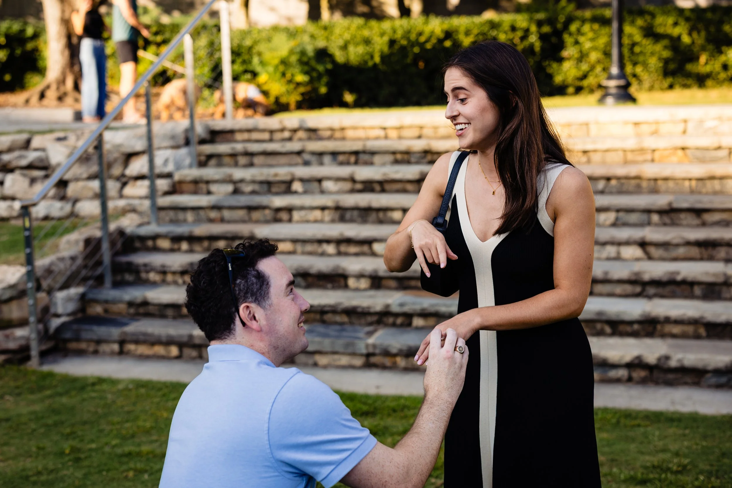 wallace-amy-falls-park-proposal-greenville-sc.jpg