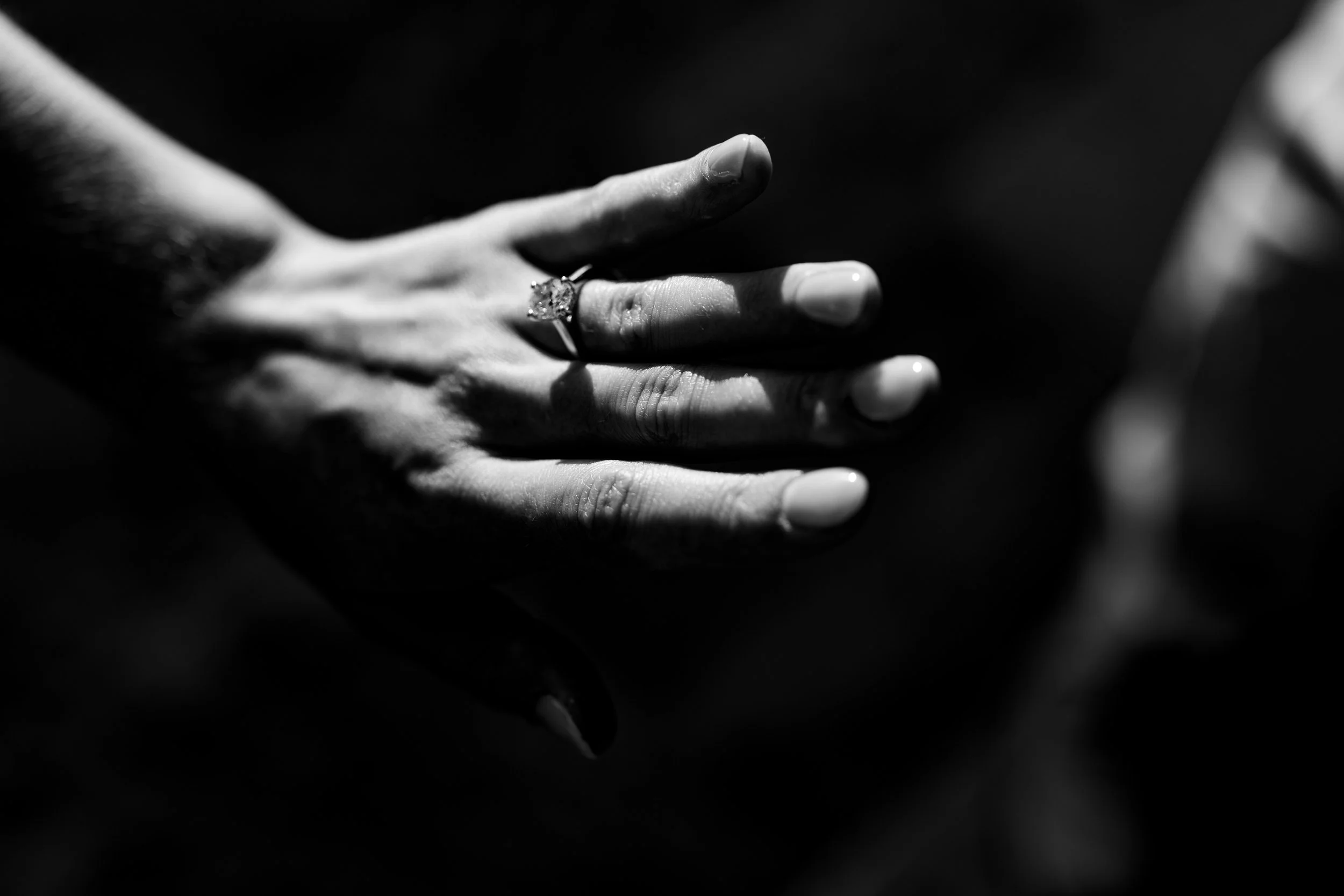 wallace-amy-falls-park-proposal-greenville-sc.jpg