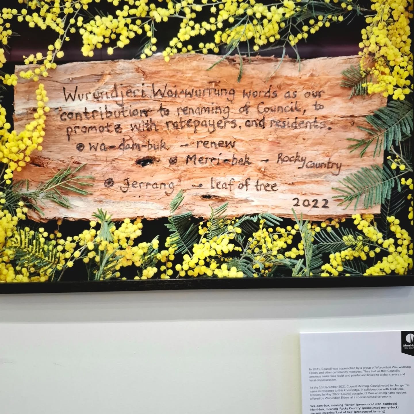 The Wurundjeri Woi Wurrung Council's work towards restitution - I see it as artworking. Merri-bek is no longer the same local government since the new name. The name orients people towards decolonisation, towards a more grounded relationship with pla