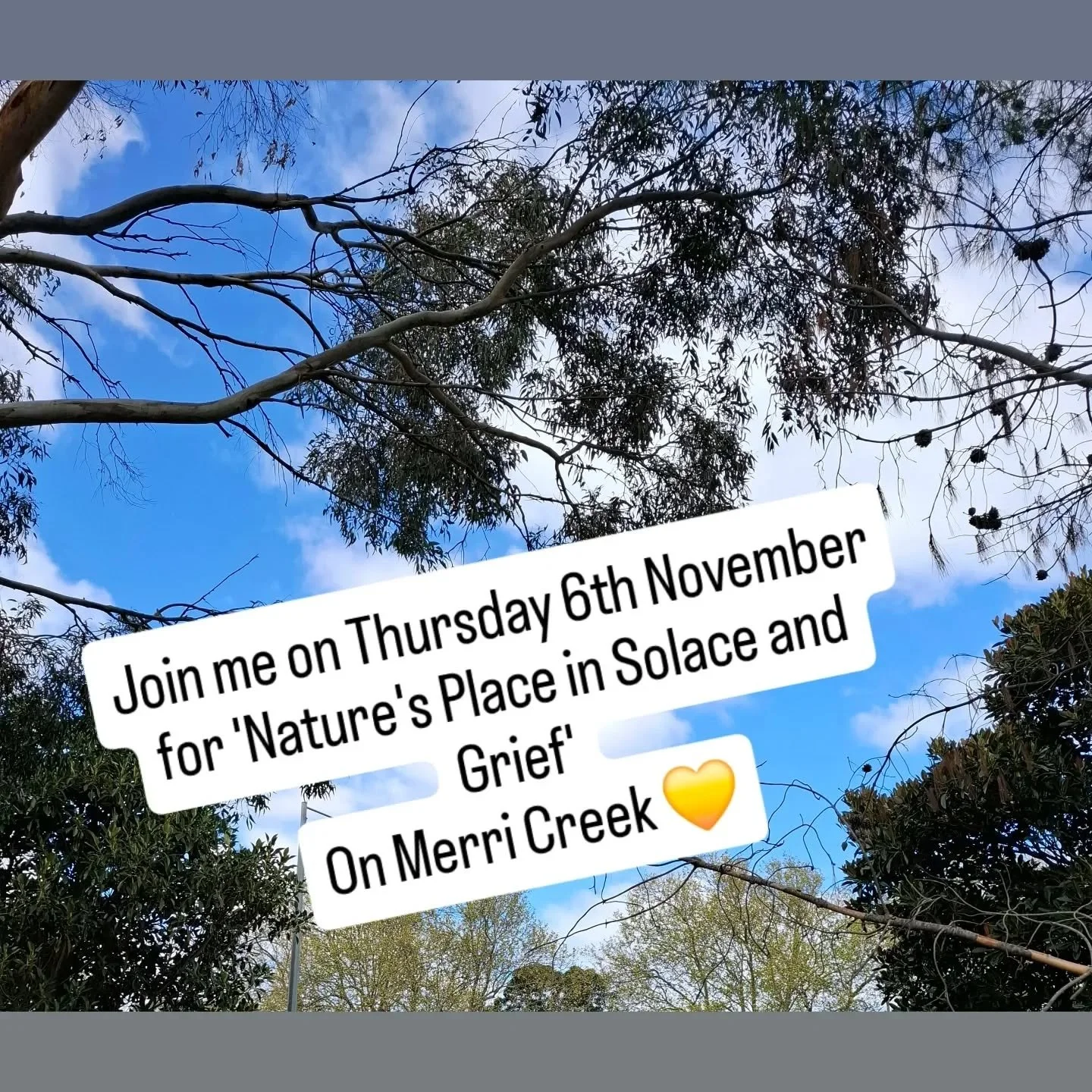 Come down to Merri Creek next week for natural healing. We'll slow down. See how things breeze. Flow. Stir.

No big agendas. One or two enjoyable activities. 

Allowing a different pace for a couple of hours 💛
