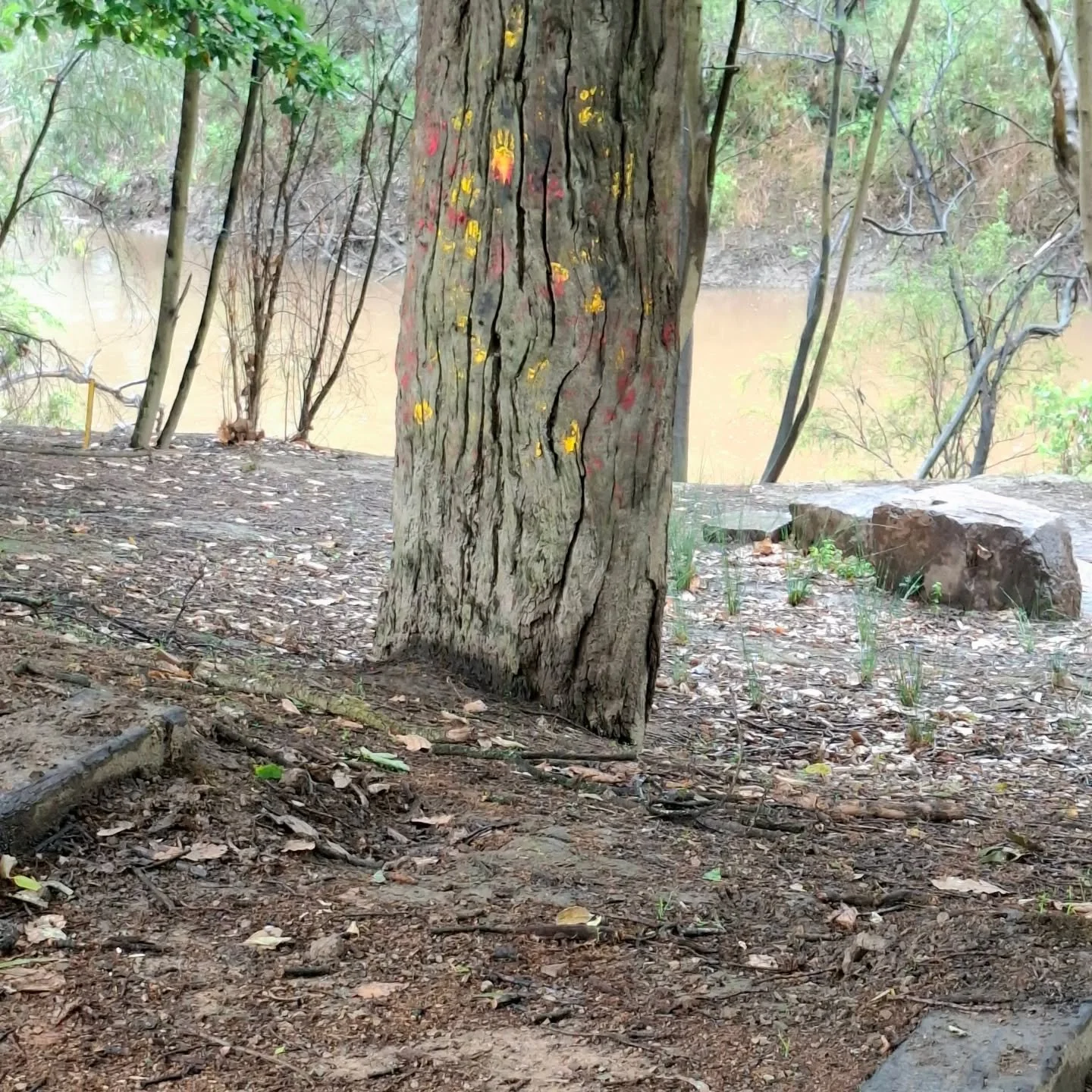 YES.

#alwayswasalwayswillbe

Celebrating Treaty.