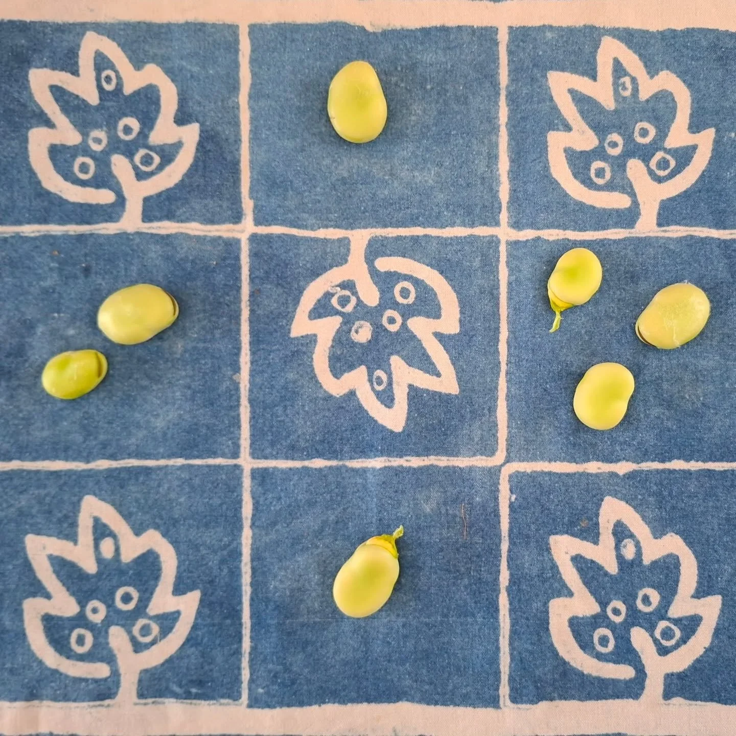 Broadies I love you 💛