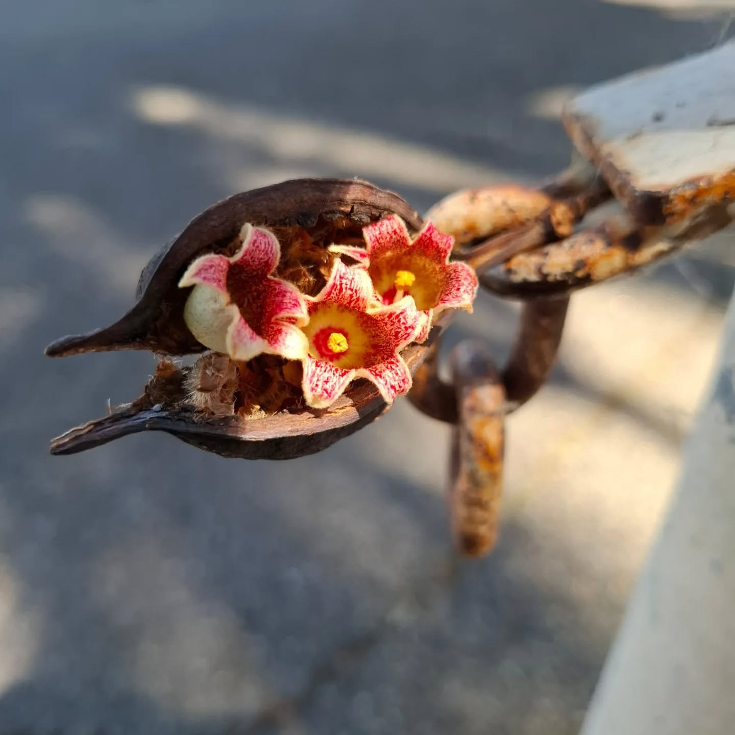 Gestures. 

#cliftonhill @cathedralcoffeemacon