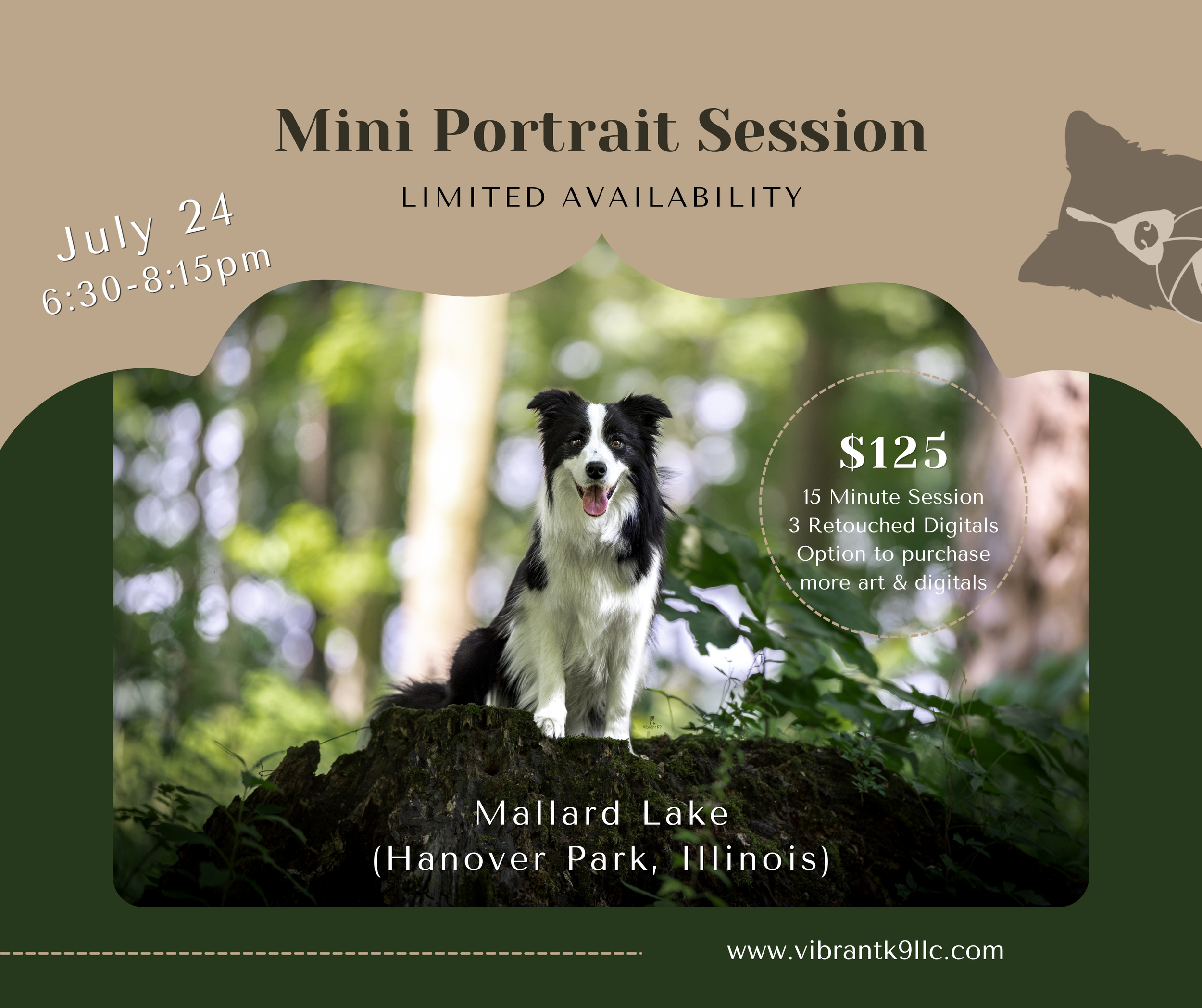 A printable flyer for a mini portrait photography session featuring a black and white dog at Hanover Park, Illinois, with event details including date, time, pricing, and contact information.