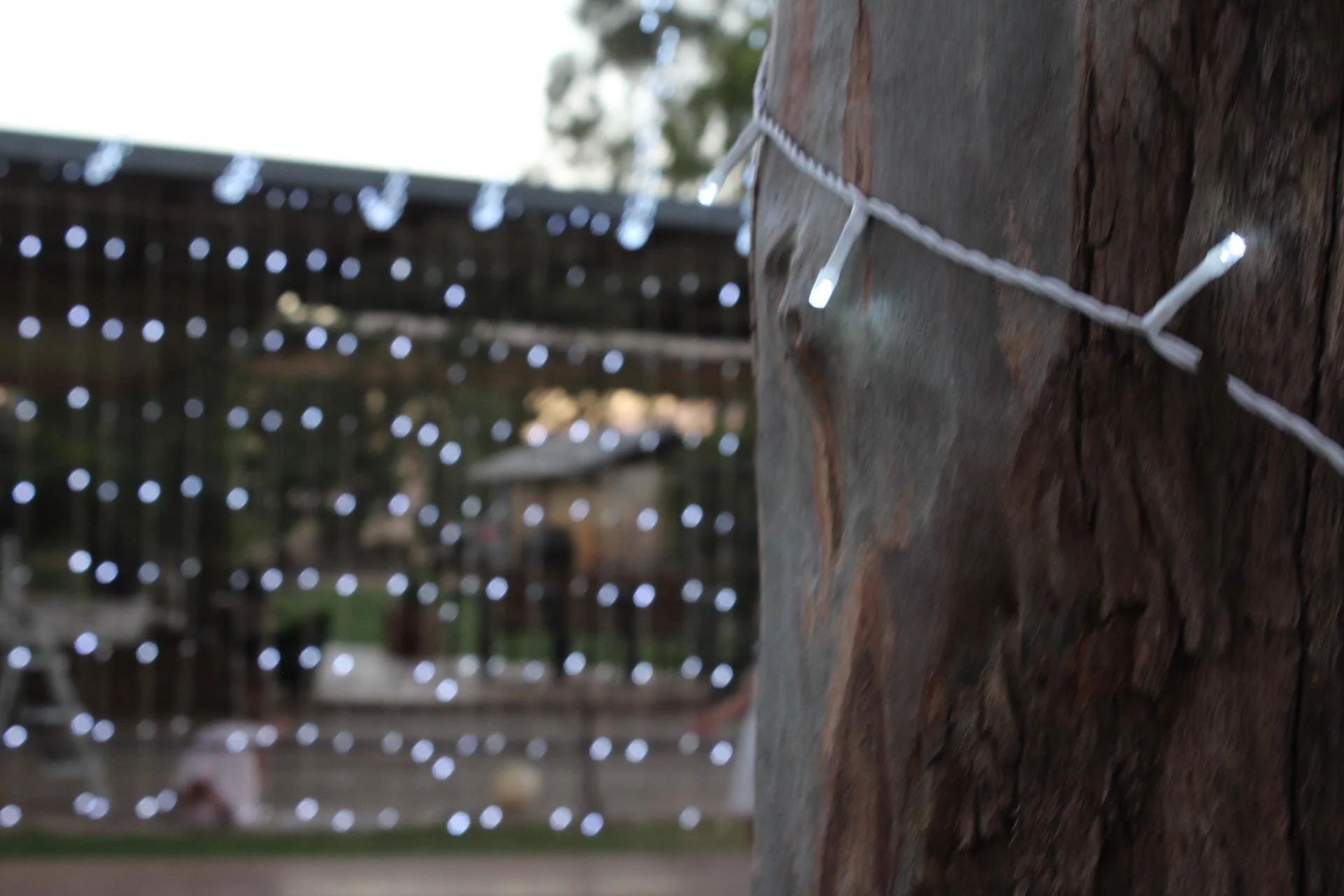 Bright white waterfall lights.JPG