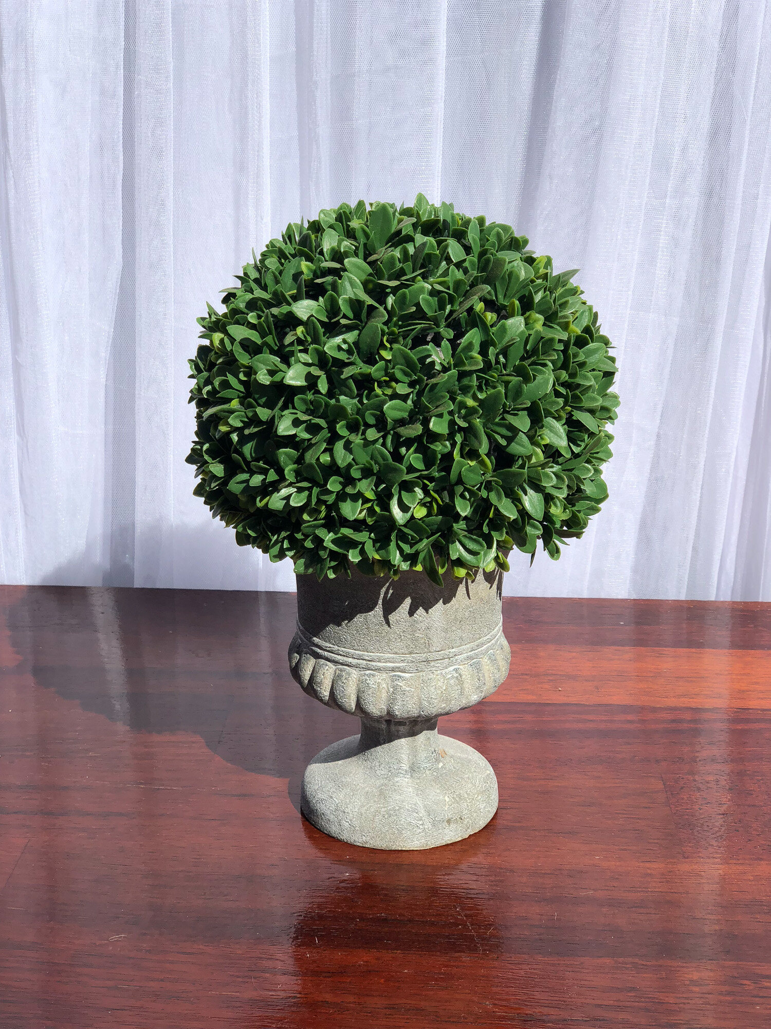 Green Grass Ball Plant