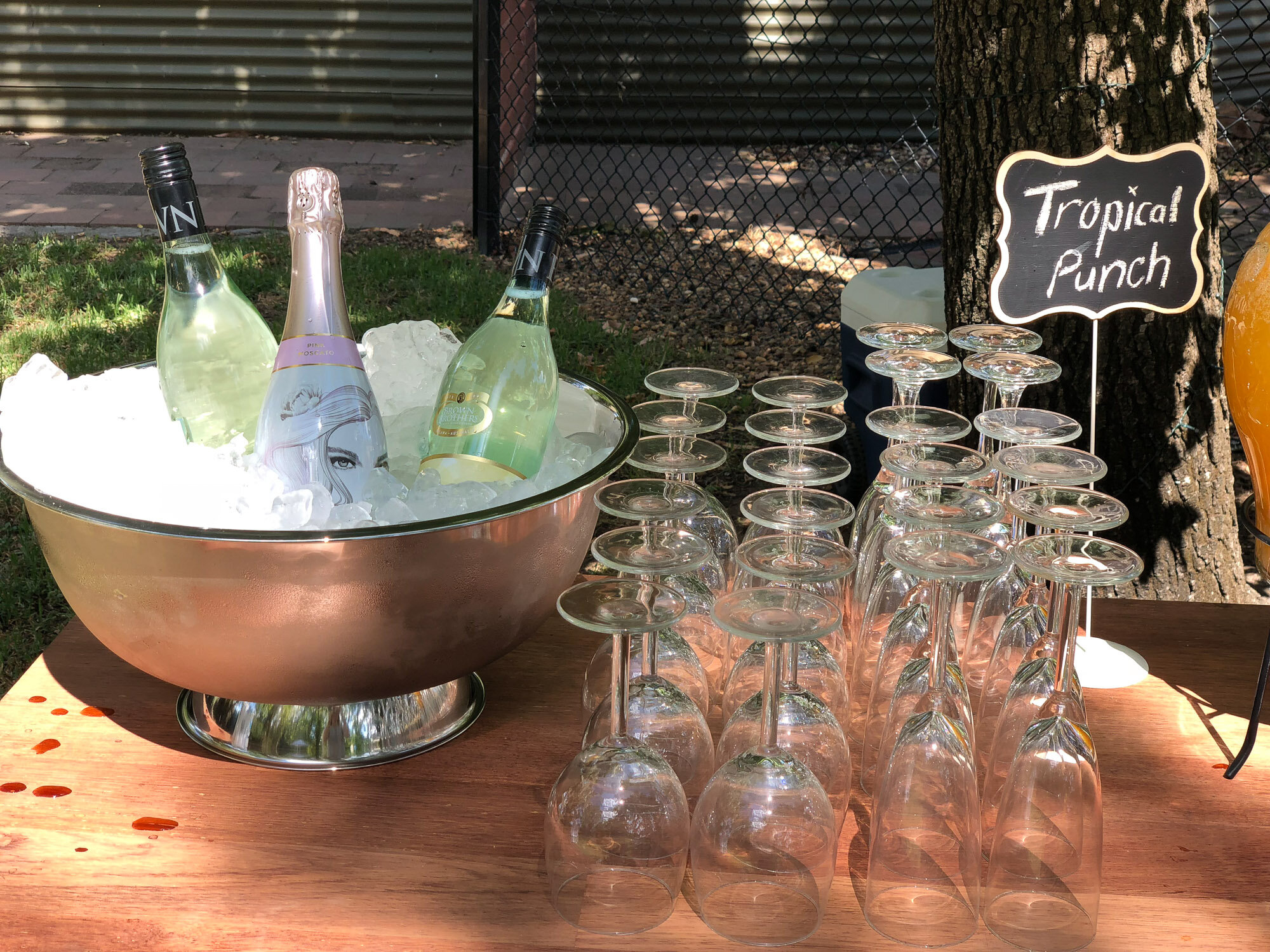 Champagne Wine Glasses