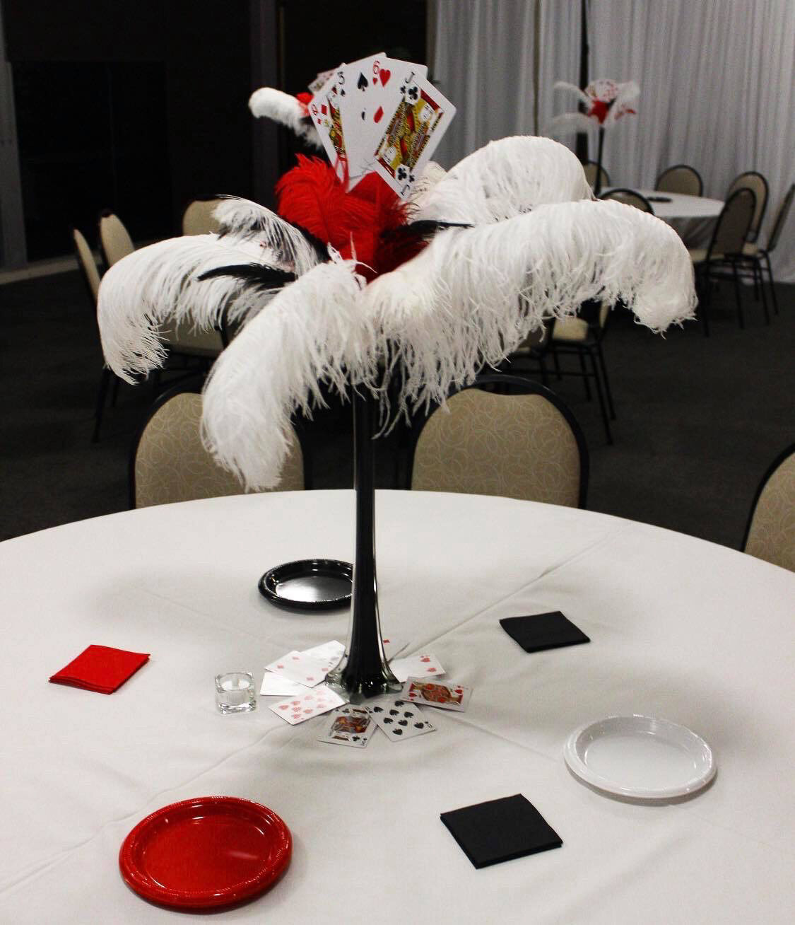 Feathers (White and Black)