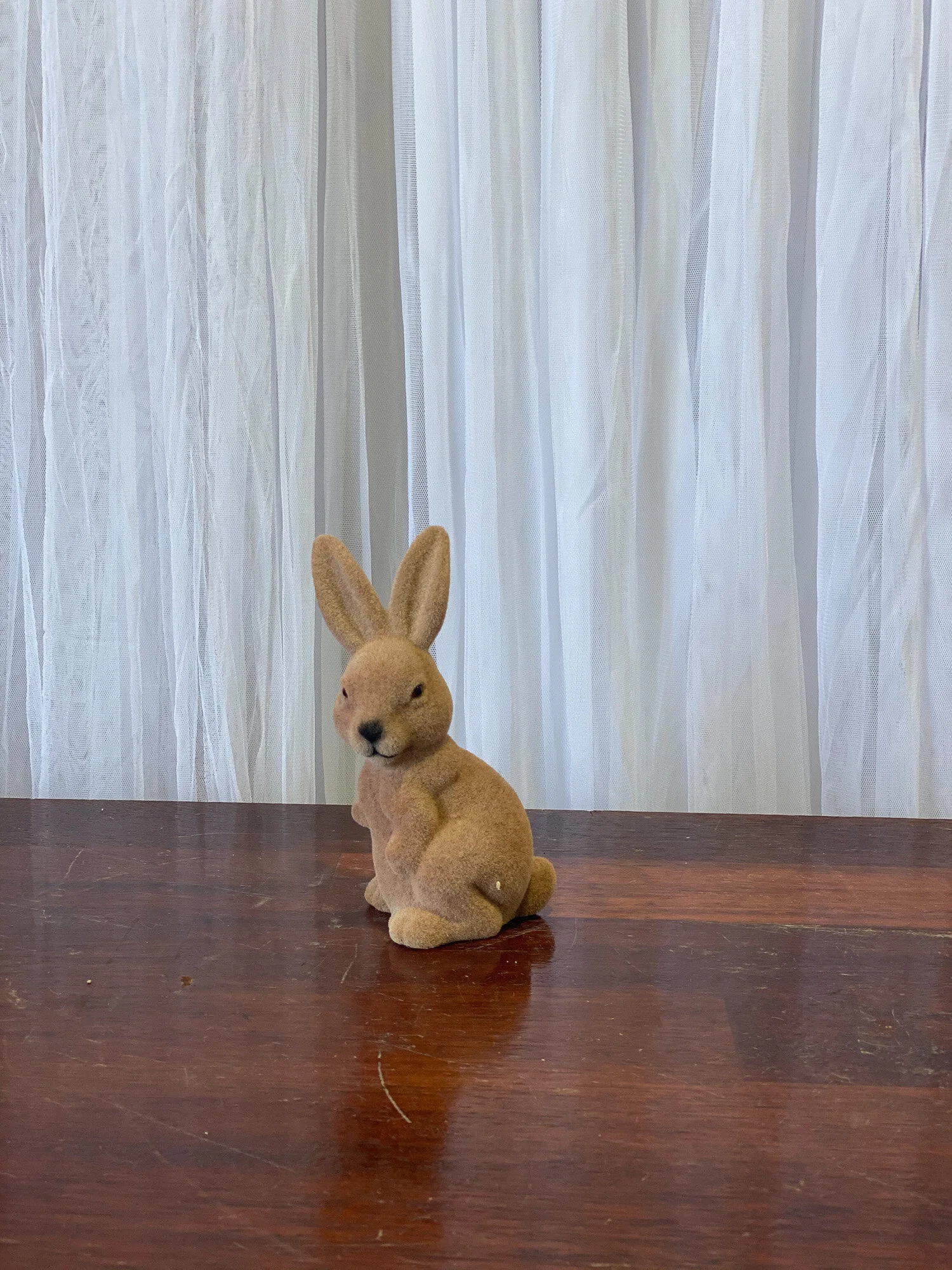 20201125_232836812_iOS. Rabbitjpg.jpg