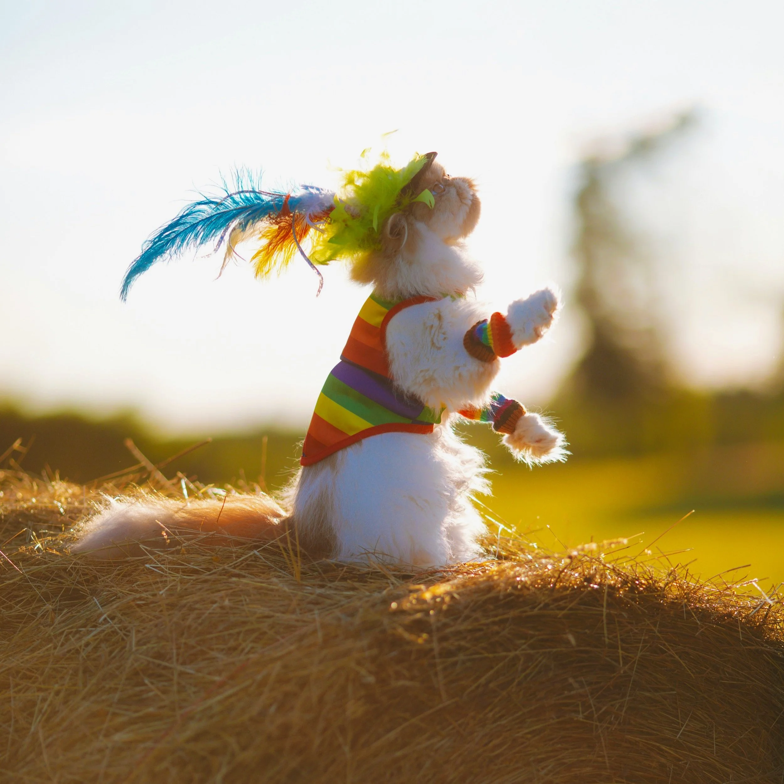 Finding a Great LGBTQIA+ Therapist