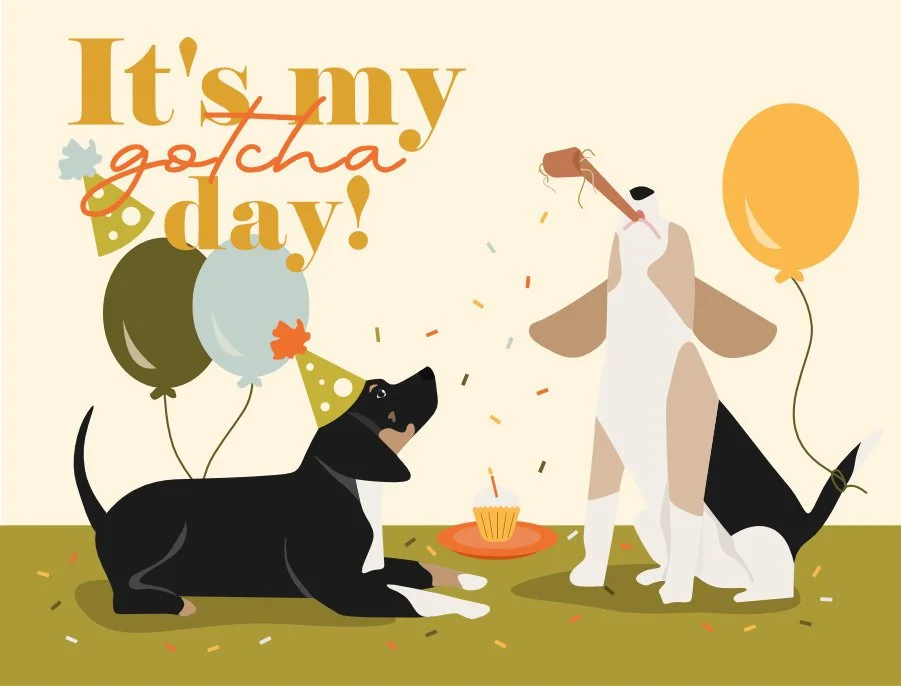 gotcha day_CG.jpg