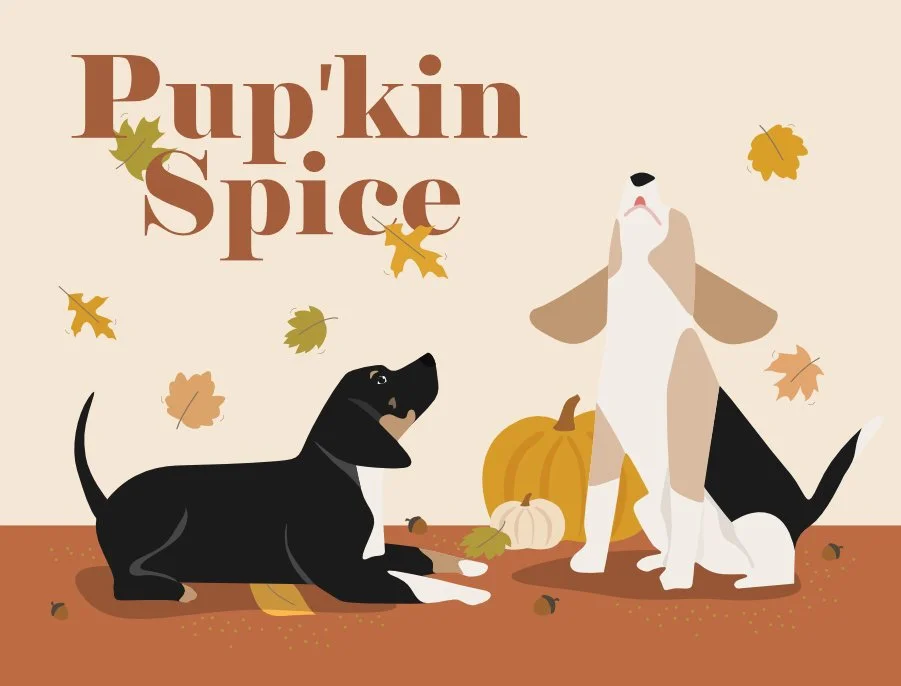 pupkin spice_CG.jpg