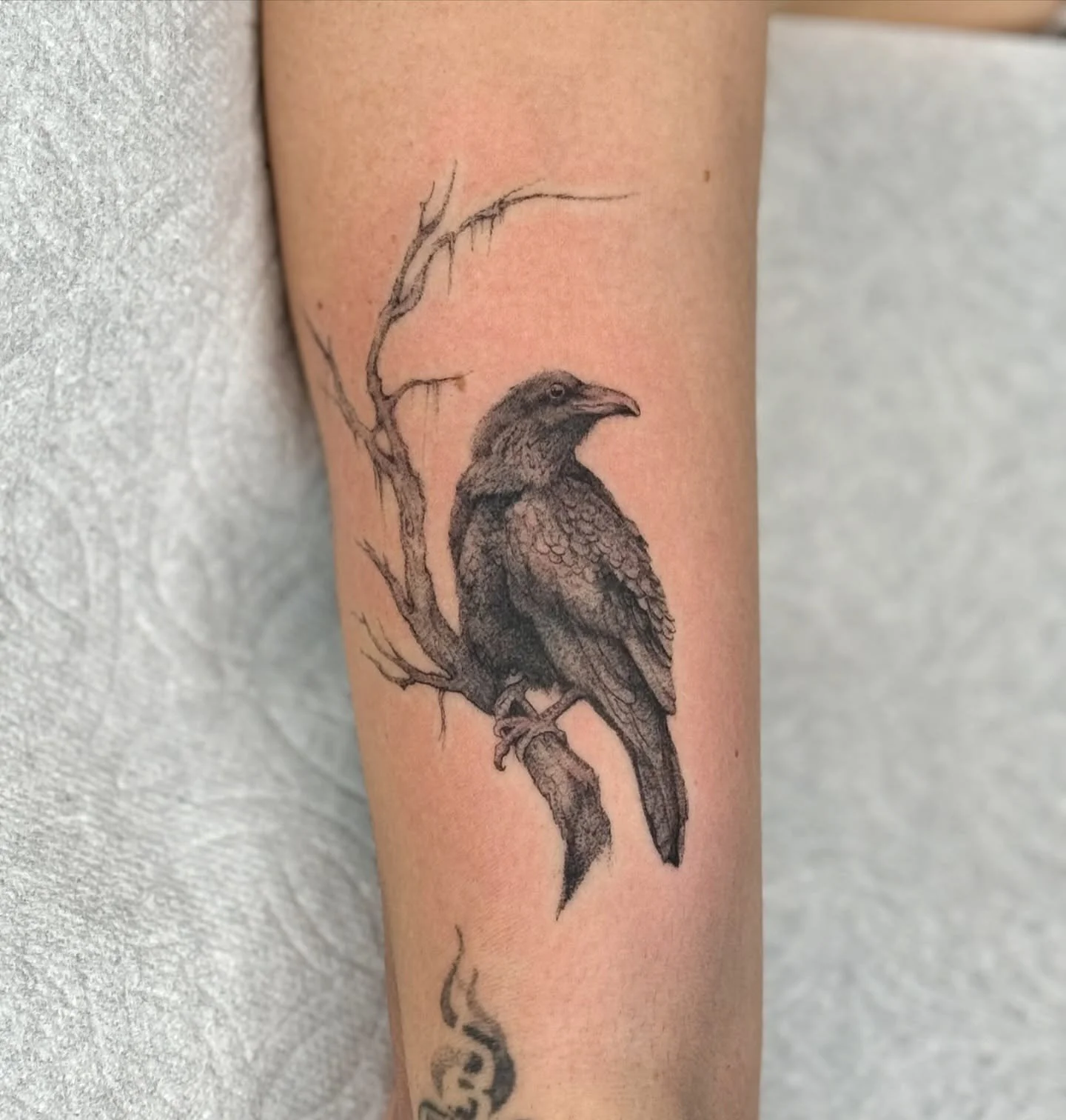 Thank you @imnotsarai ♡ I had so much fun with this one! I&rsquo;d love to do more microrealism! Please email me if you&rsquo;re interested 🥰