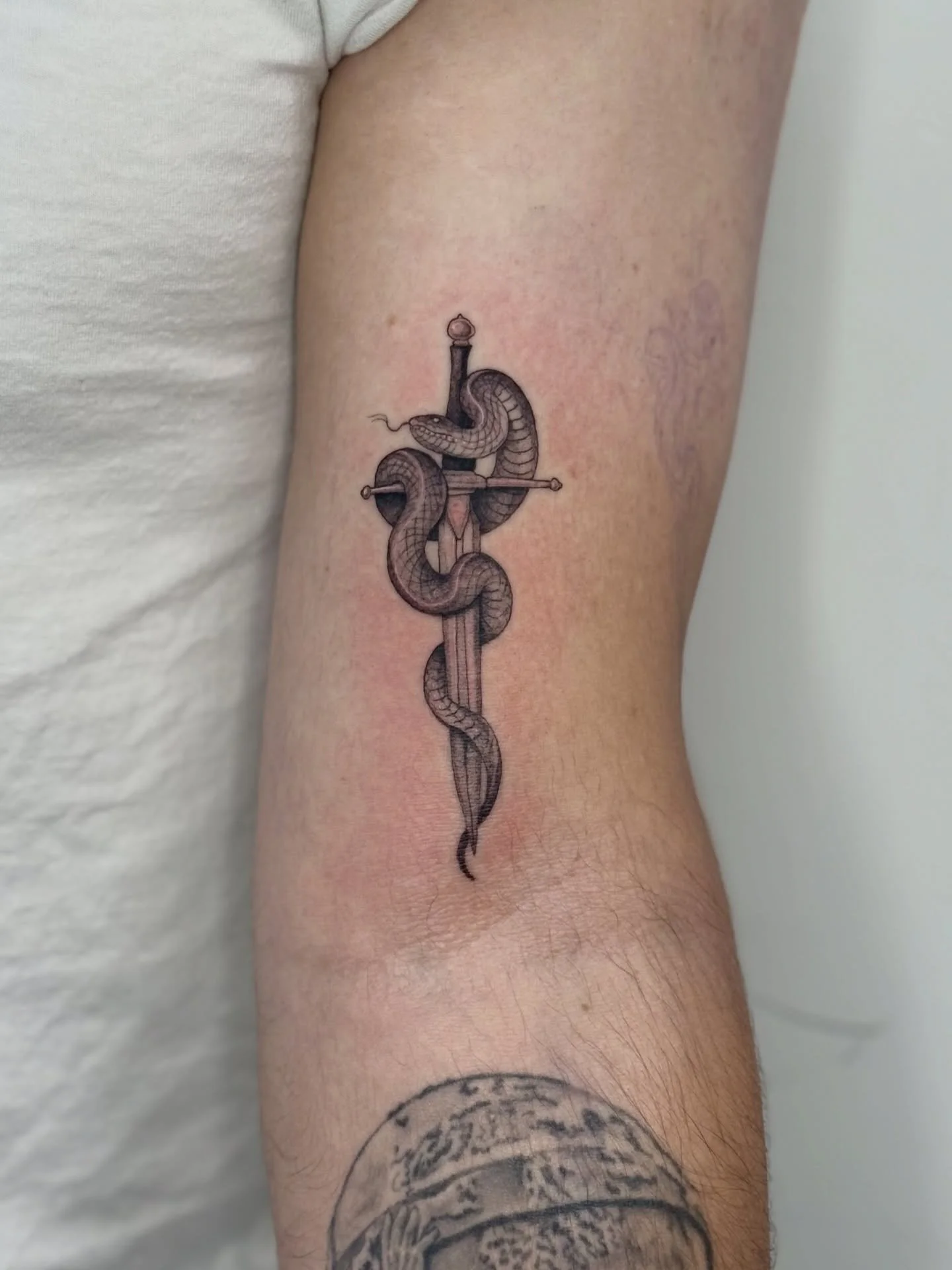Little danger noodle for Peter. Thank you so much!! 

✤  I&rsquo;m located in downtown Las Vegas at @18btattoo and my books are open! &bull;‿&bull; 
♡  Using the best - @creamtattoosupply  #lasvegastattooer #lasvegastattooartist #btattooing #tattoos