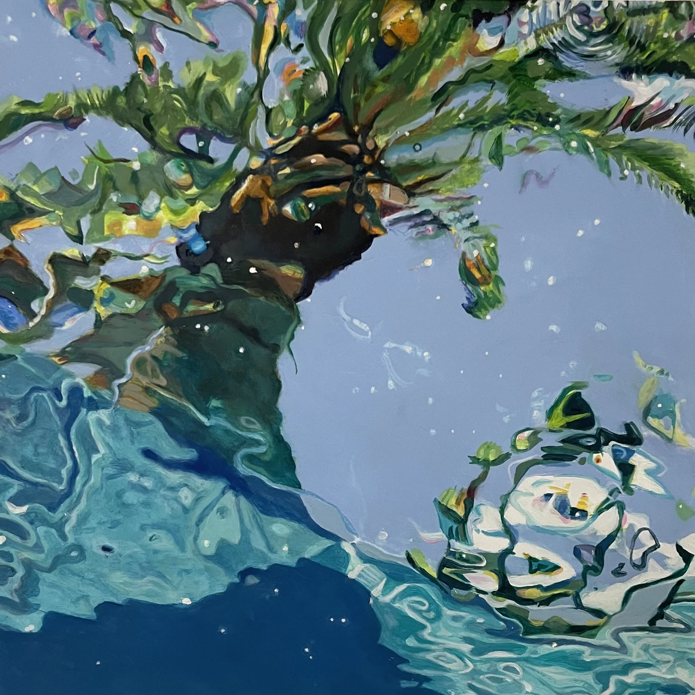 Sonoran Vortex