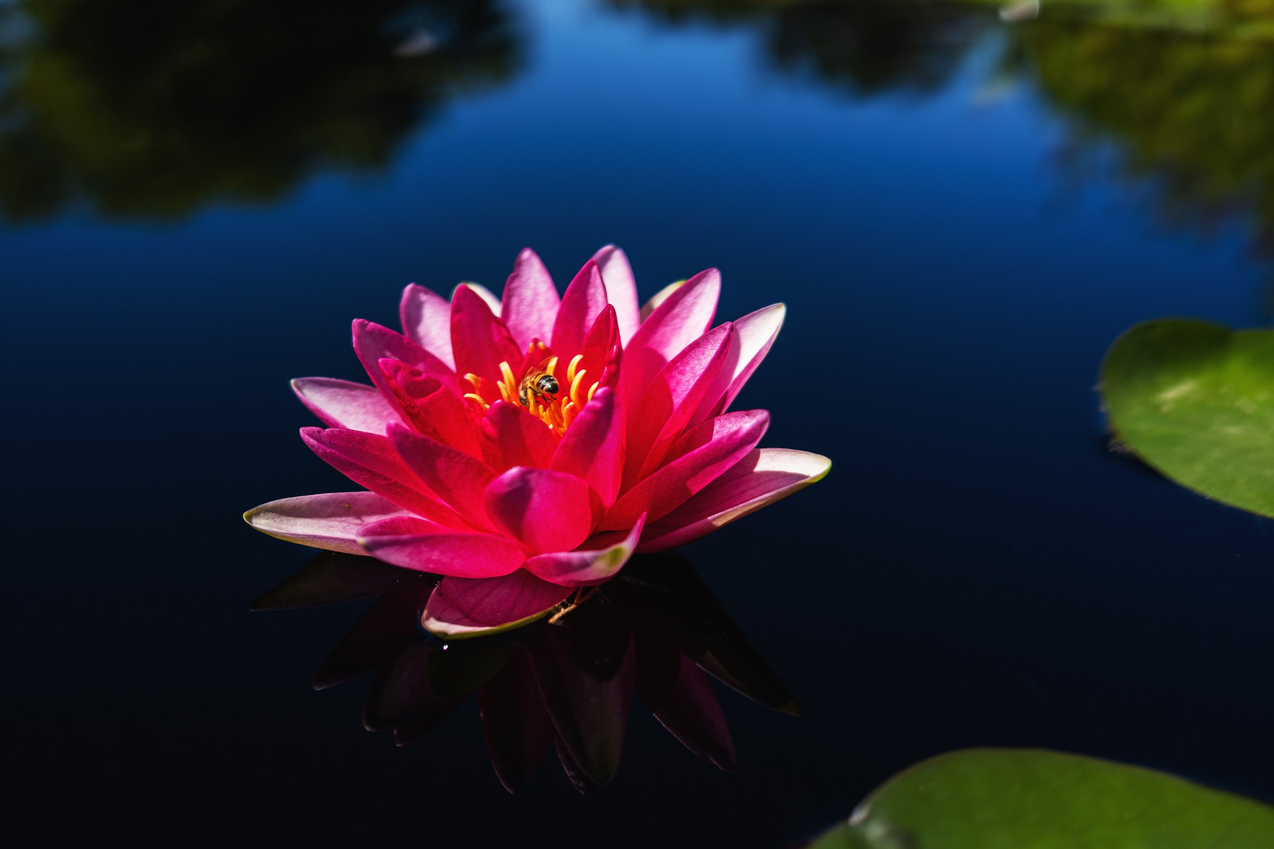 DSCF7930.jpg