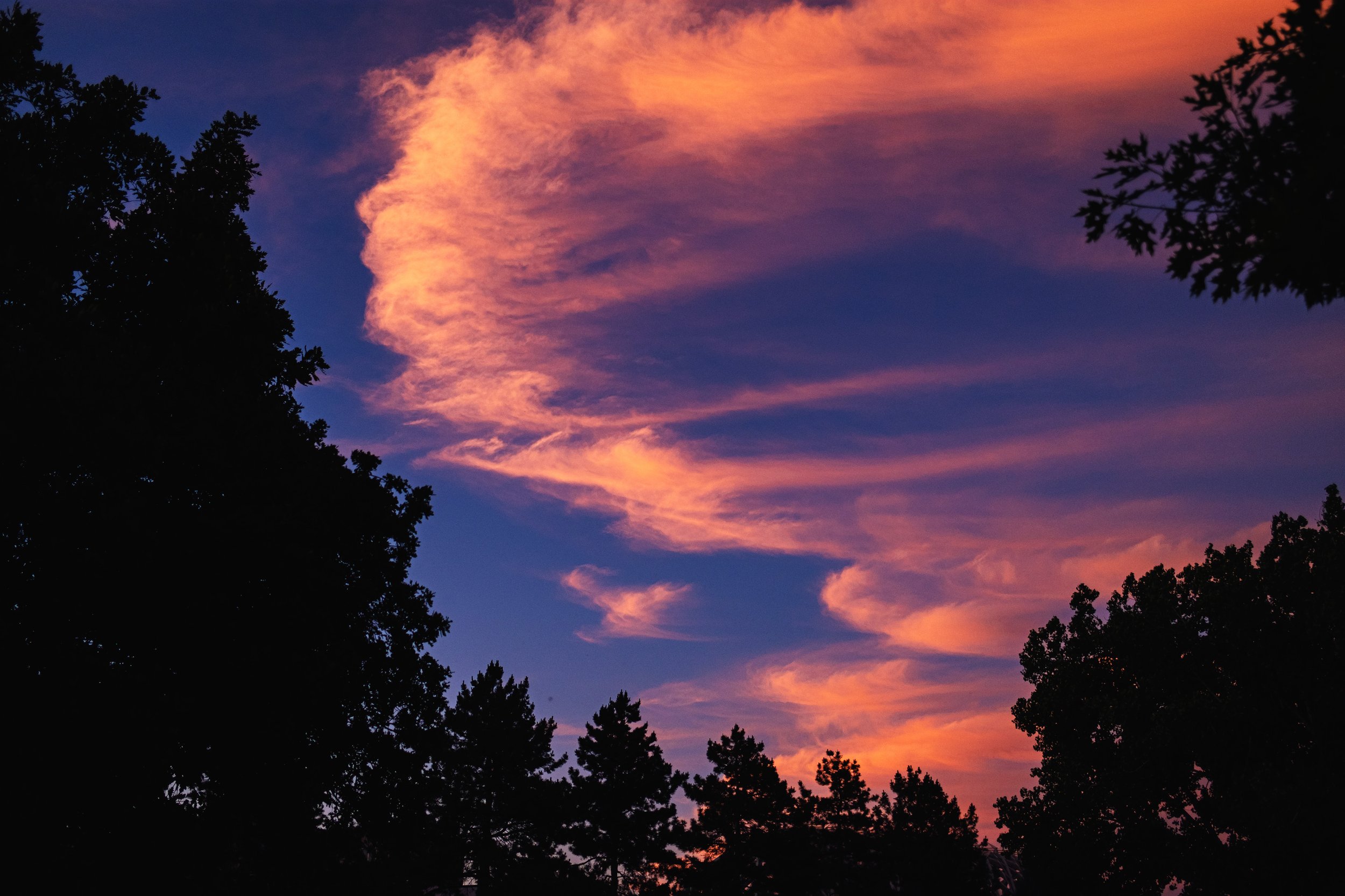 DSCF6600.jpg