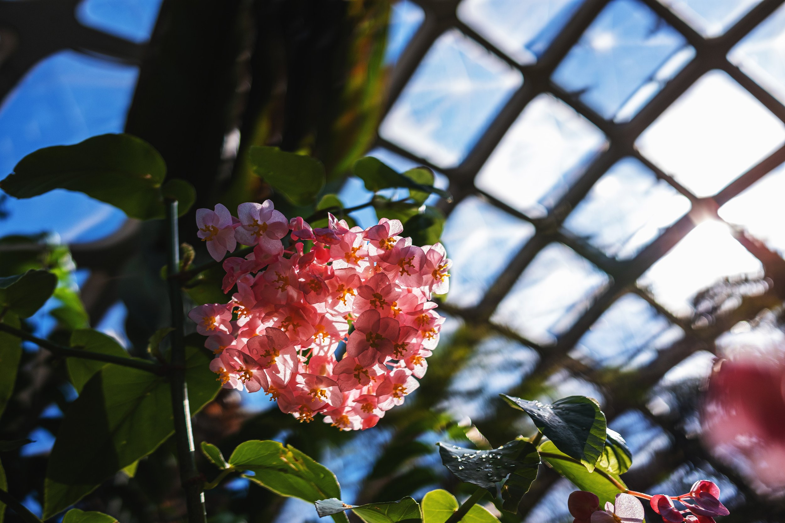 DSCF8013.jpg