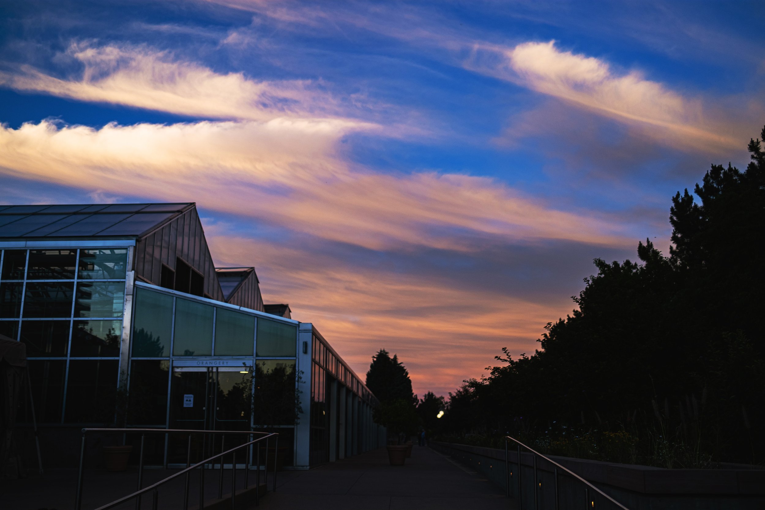 DSCF6588.jpg