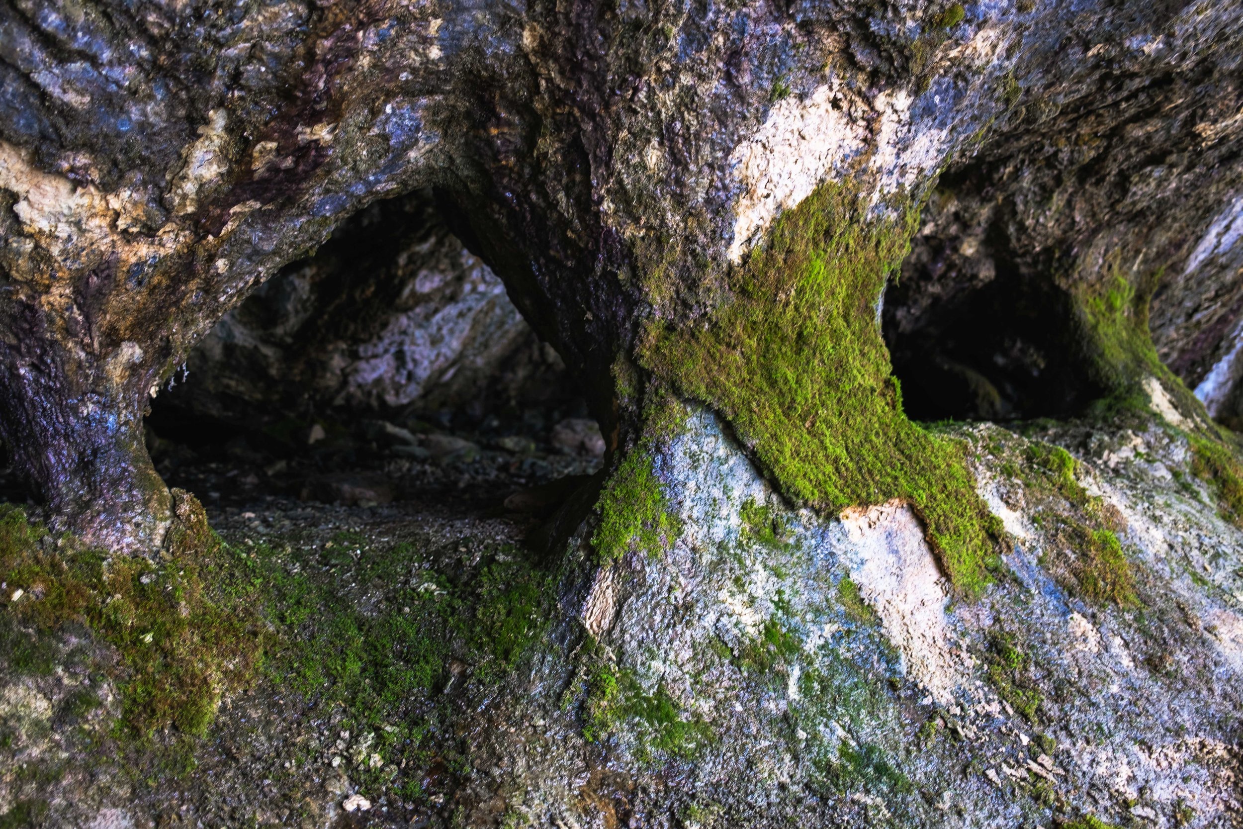 DSCF7361s.jpg