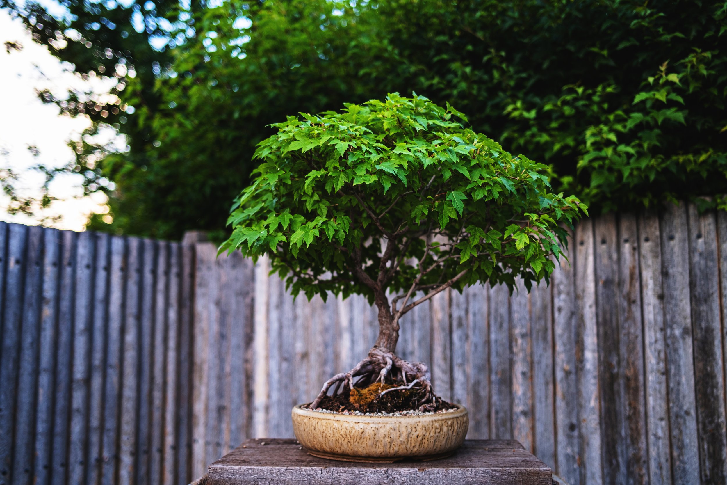 DSCF6580.jpg