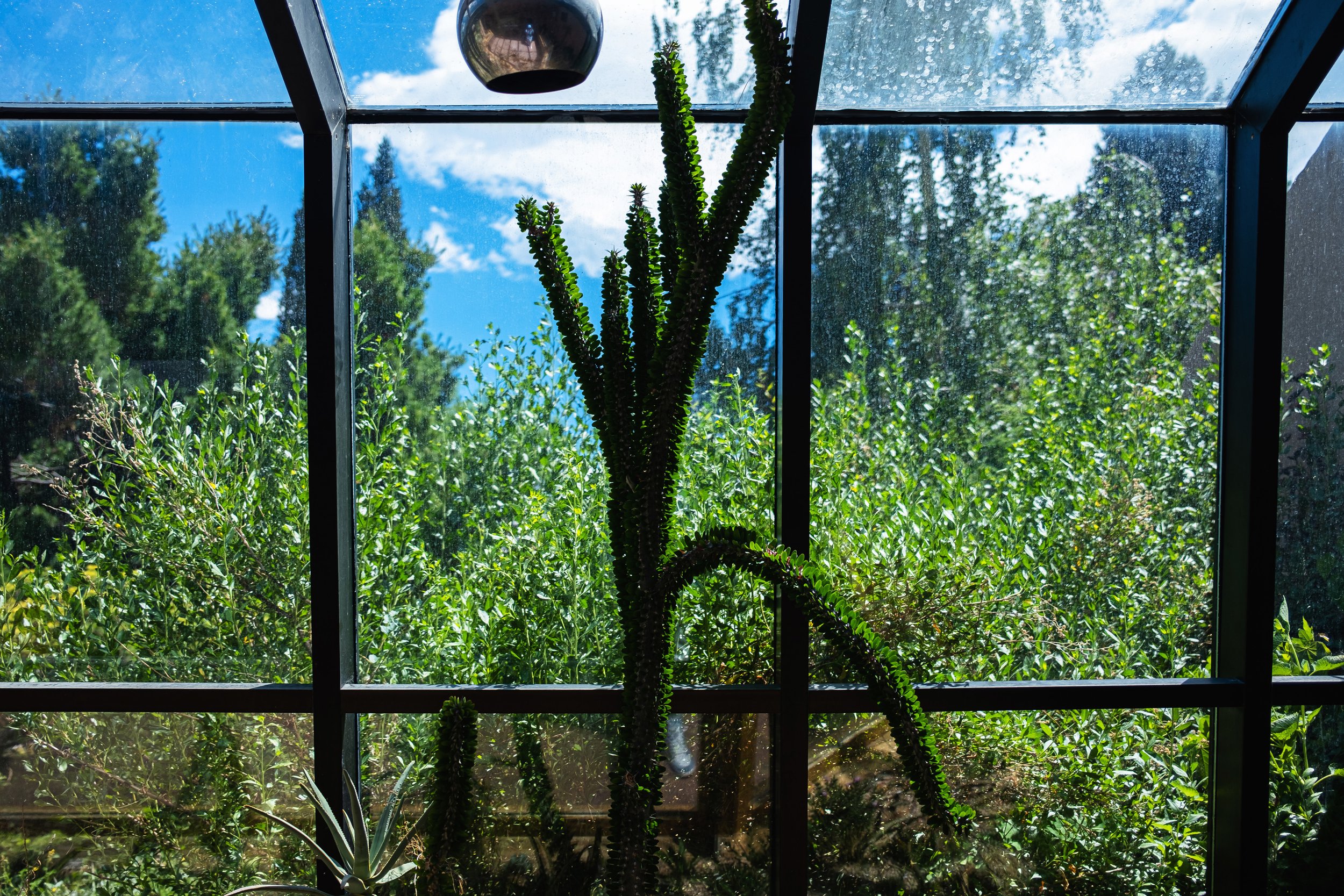 DSCF7559.jpg
