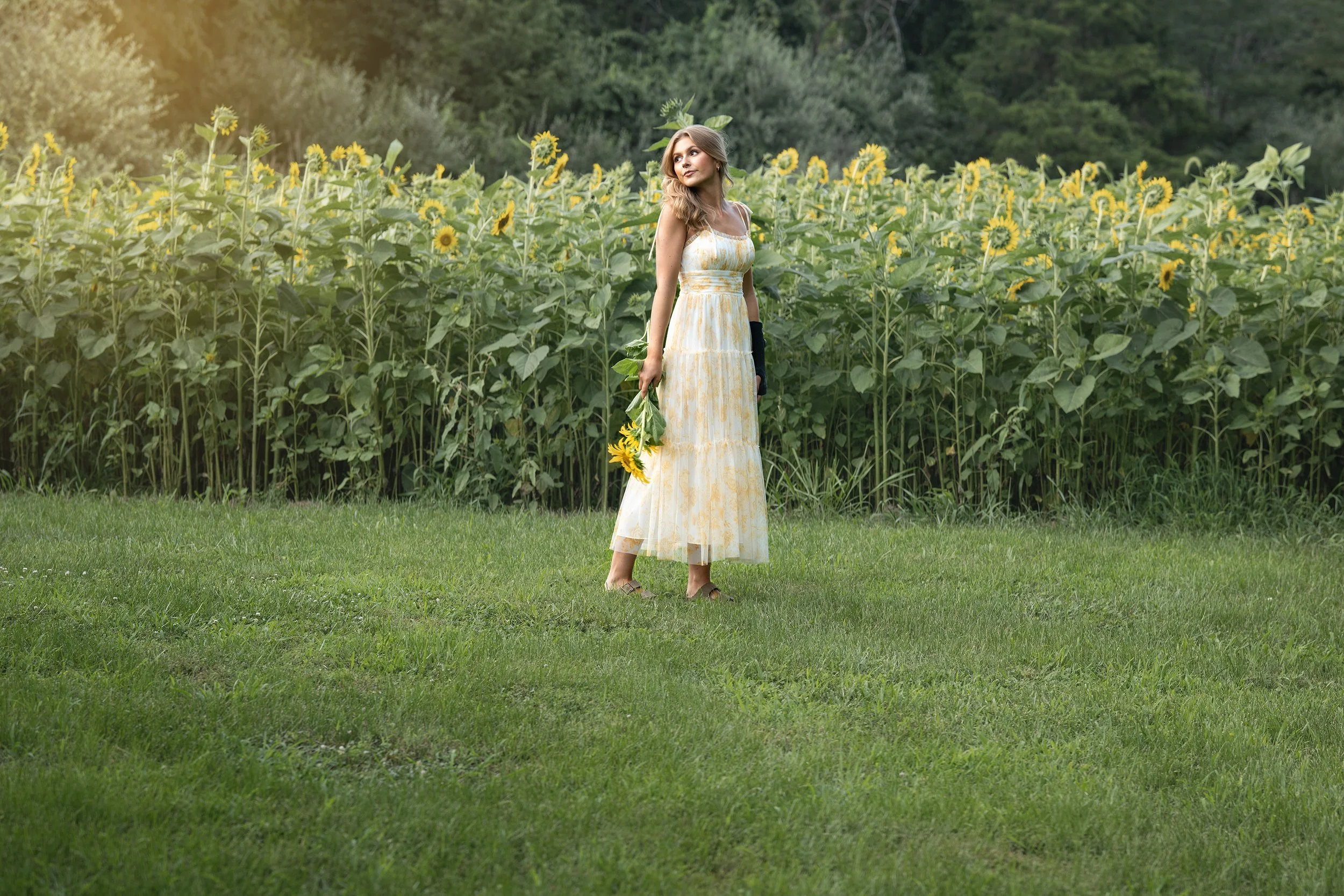 Class of 2027 Senior Girl in Golden hour light Sunflower Field Marion Illinois