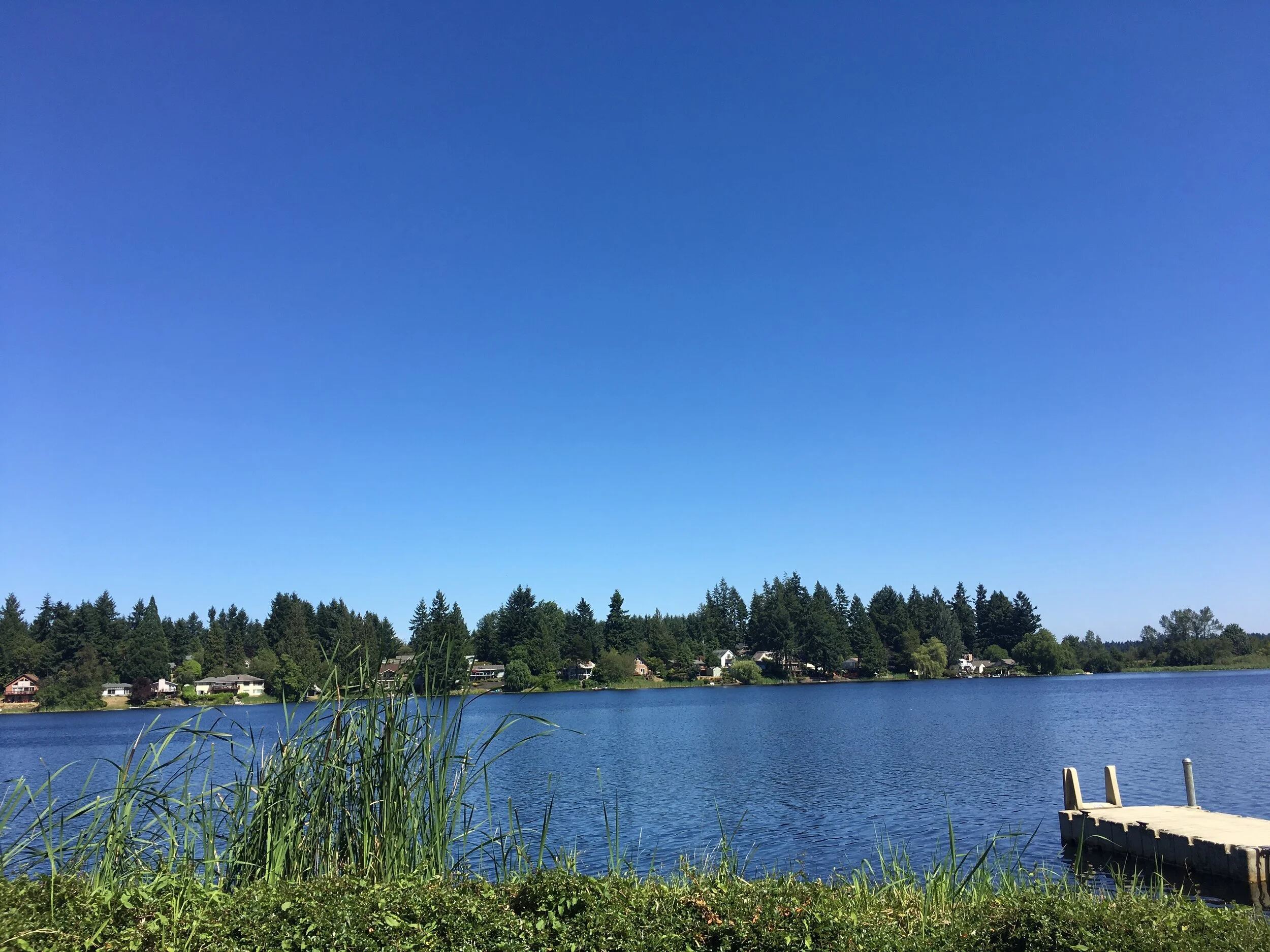 Pattison Lake Association