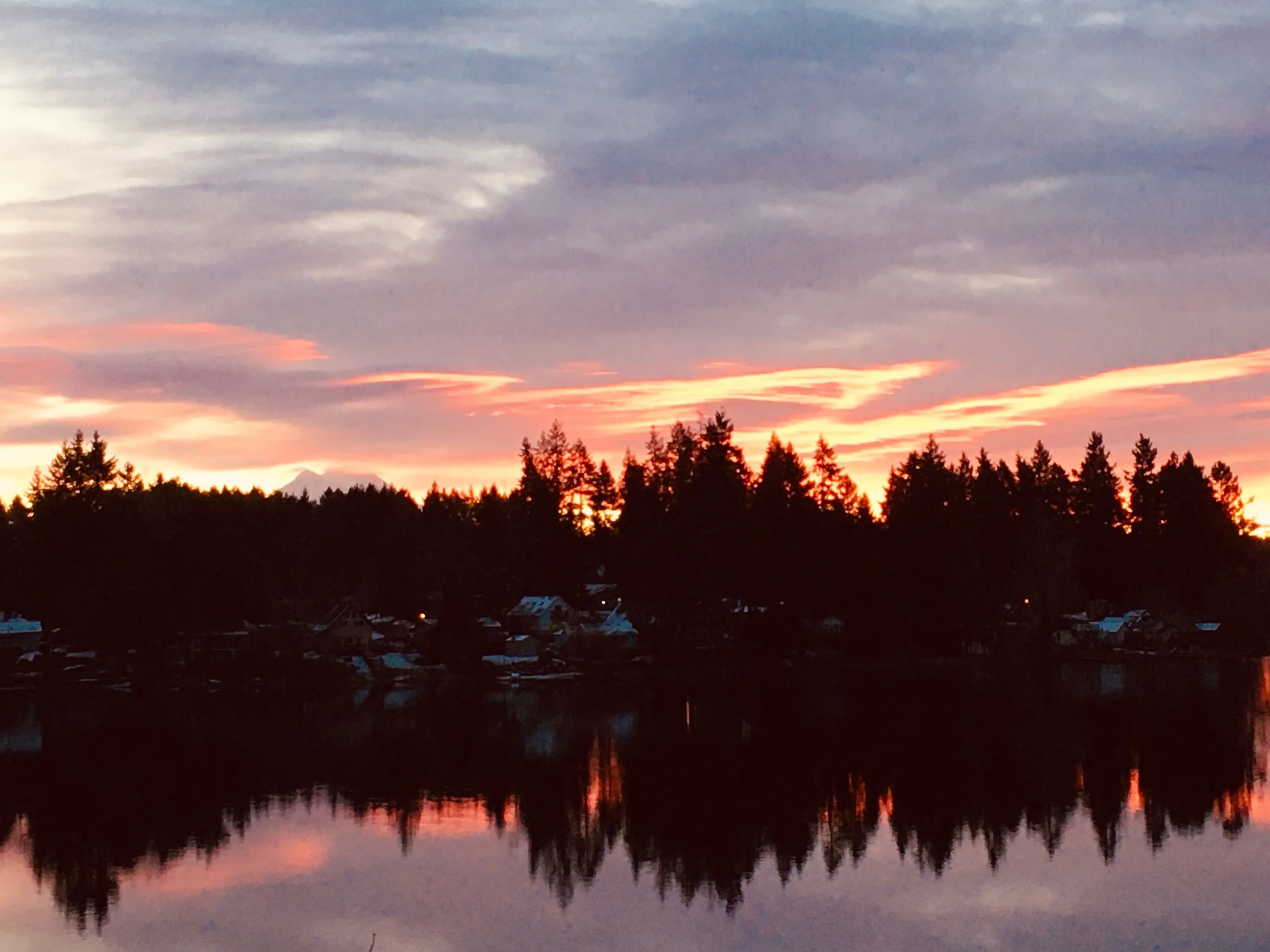 Pattison Lake Association