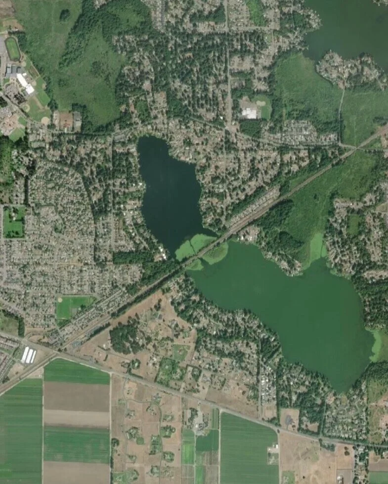 Pattison Lake Association