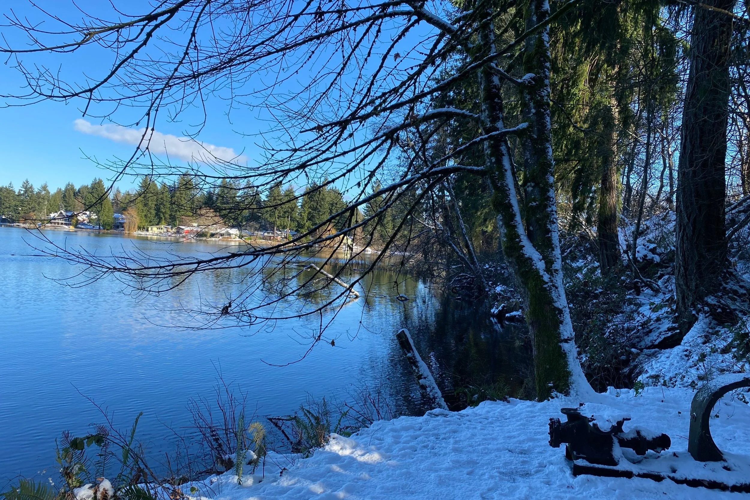 Pattison Lake Association