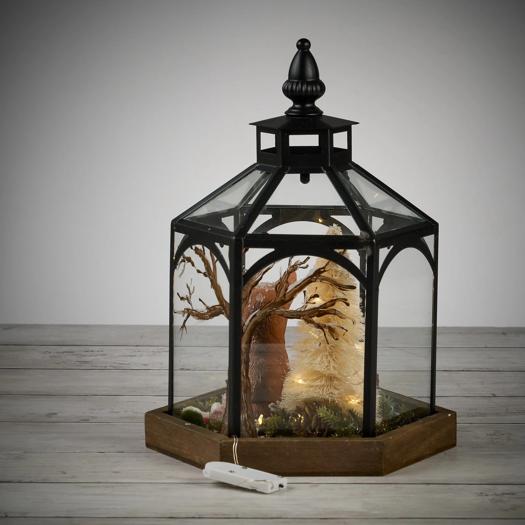 fox gazebo0314.jpg