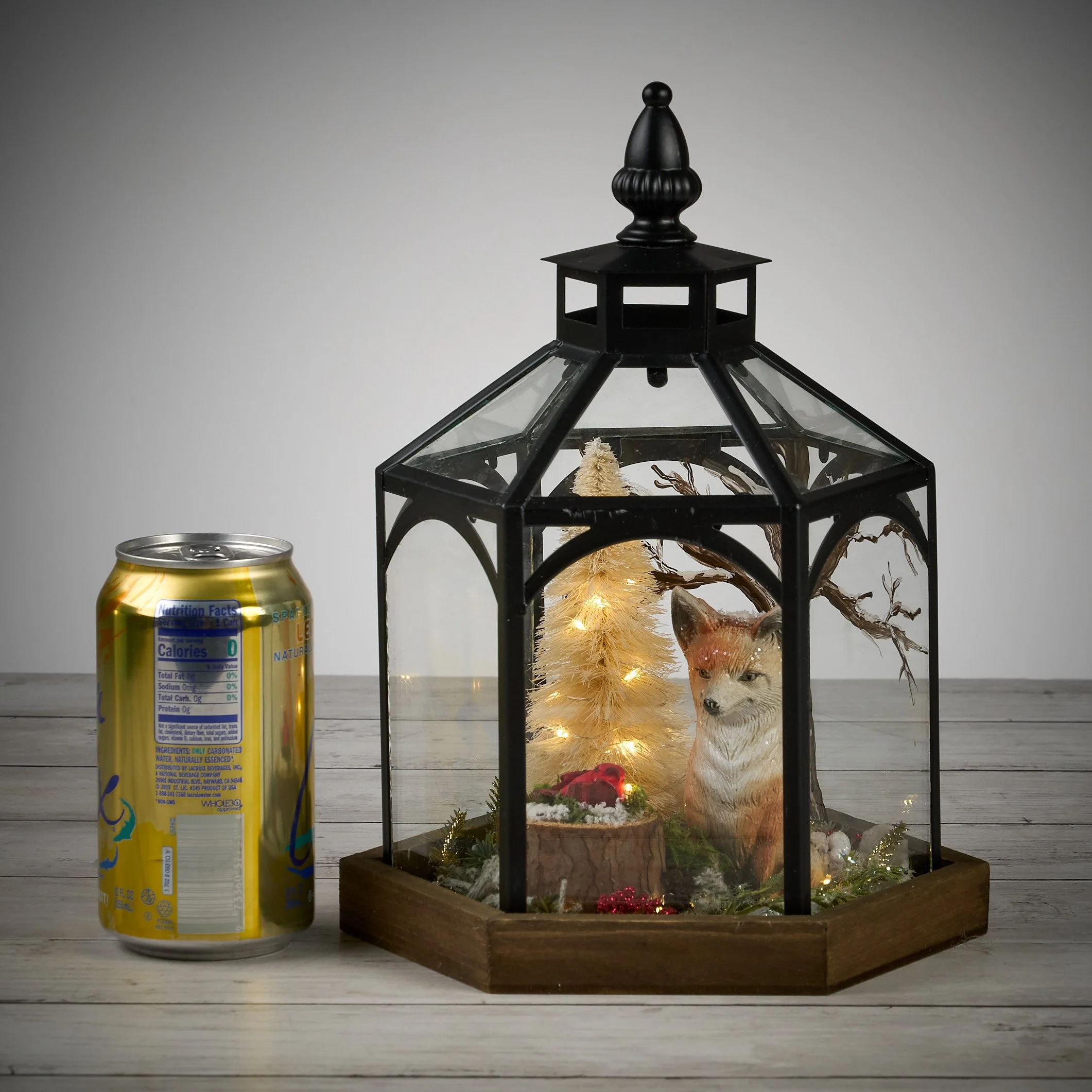 fox gazebo0313.jpg