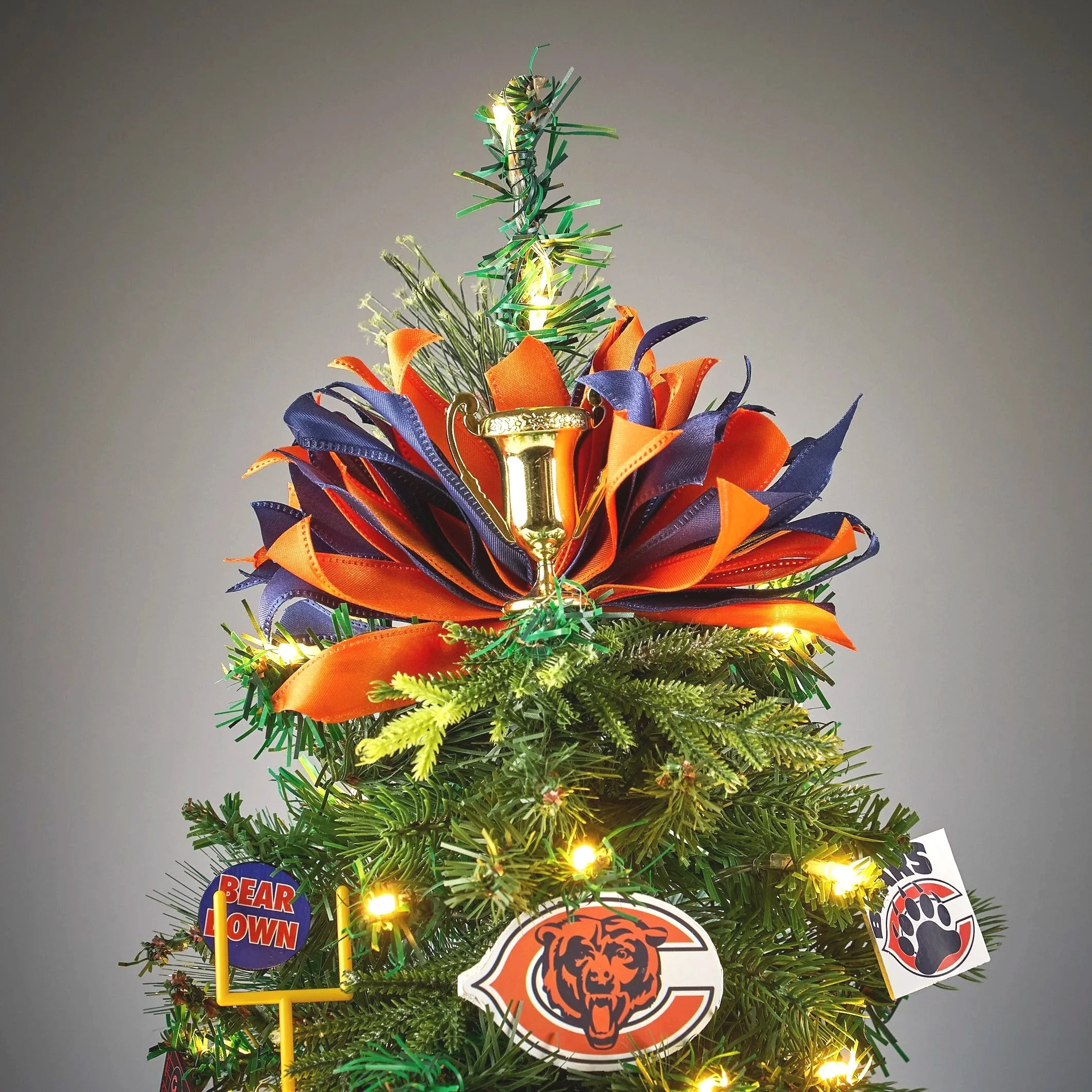 Chicago+Bears1806.jpg